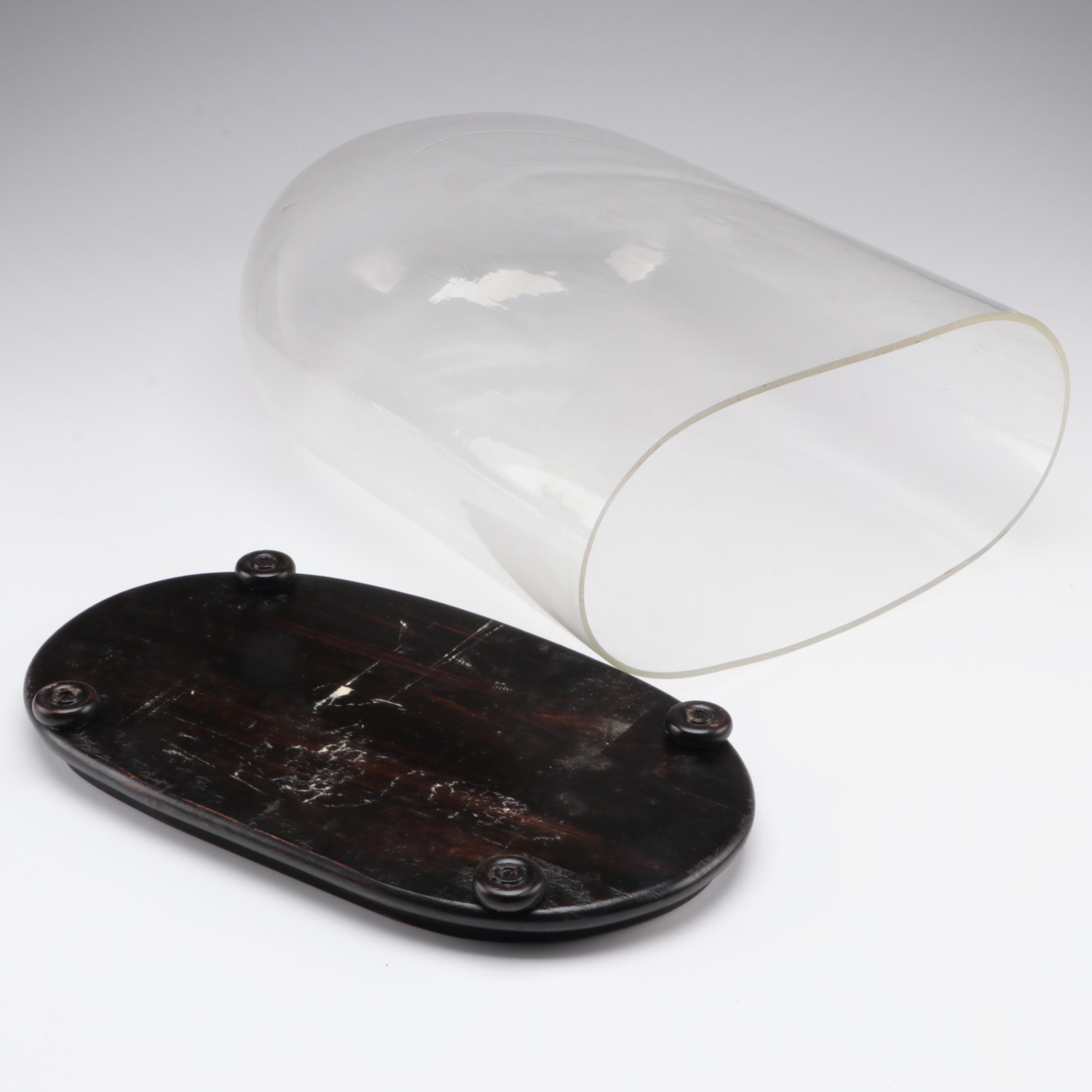 Victorian Glass Cloche with Wood Base, Late 19th Century