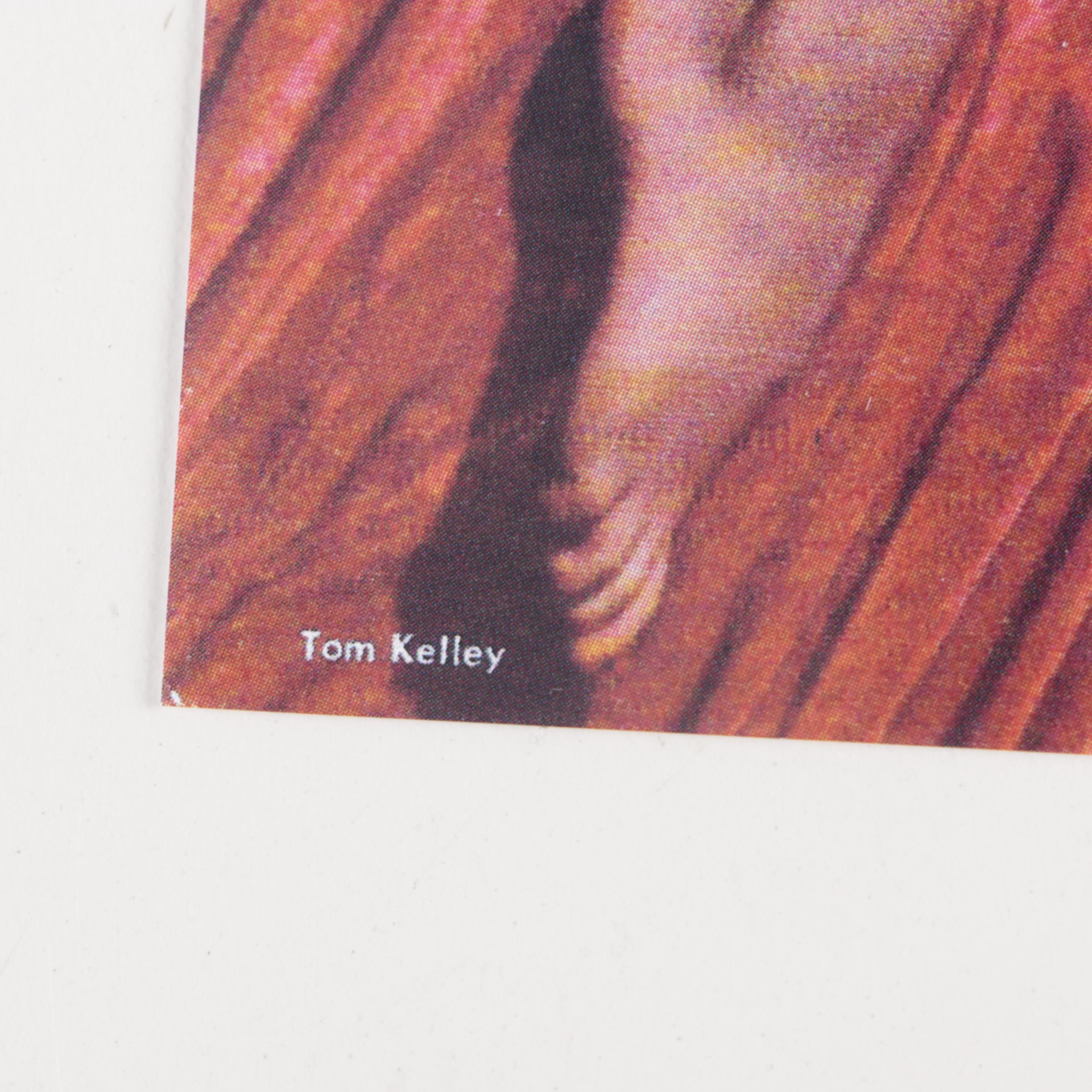 Marilyn Monroe Calendar, Prints and Business Cards Featuring "Golden Dreams"