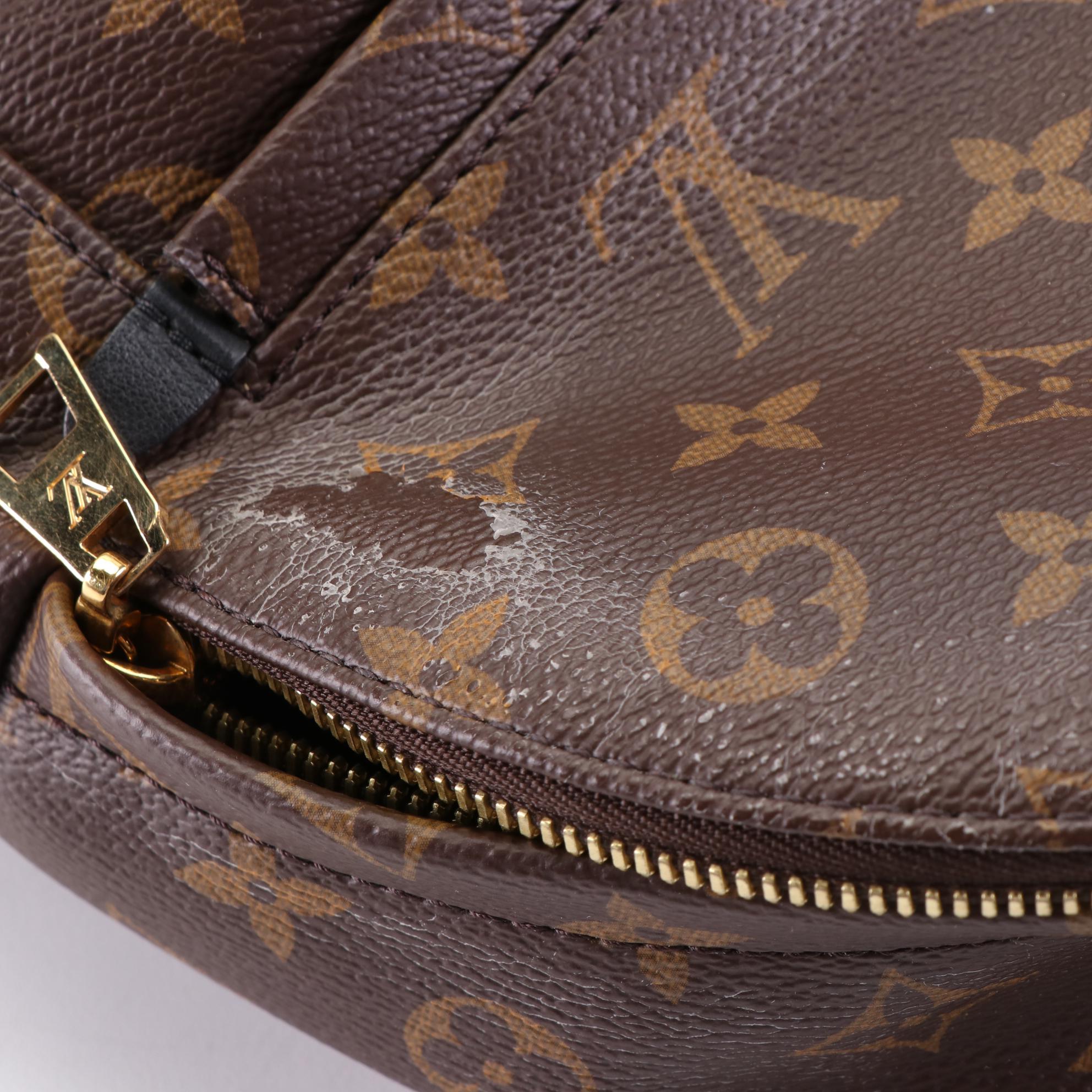 Louis Vuitton Palm Springs PM Backpack in Monogram Canvas and Black Leather Trim