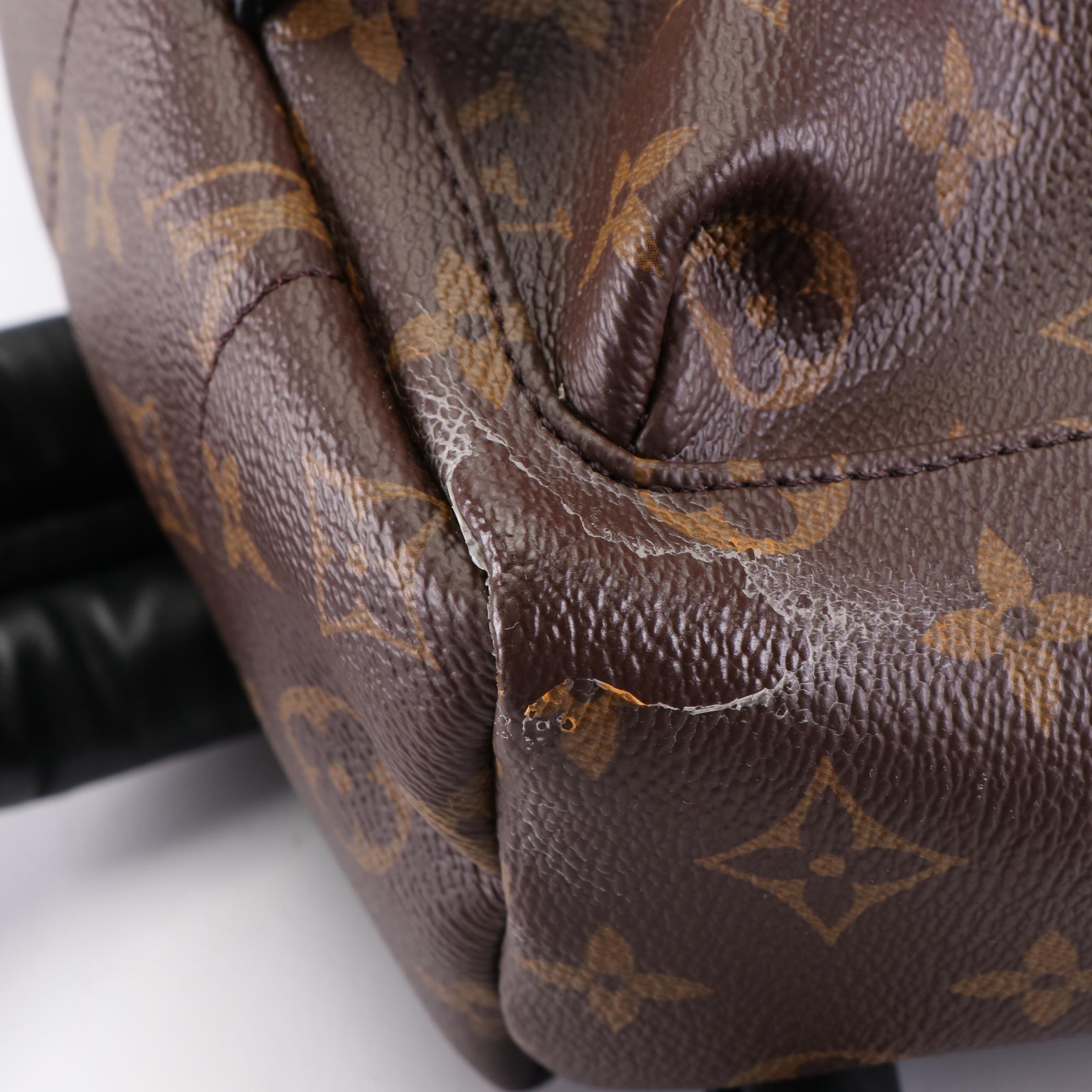 Louis Vuitton Palm Springs PM Backpack in Monogram Canvas and Black Leather Trim