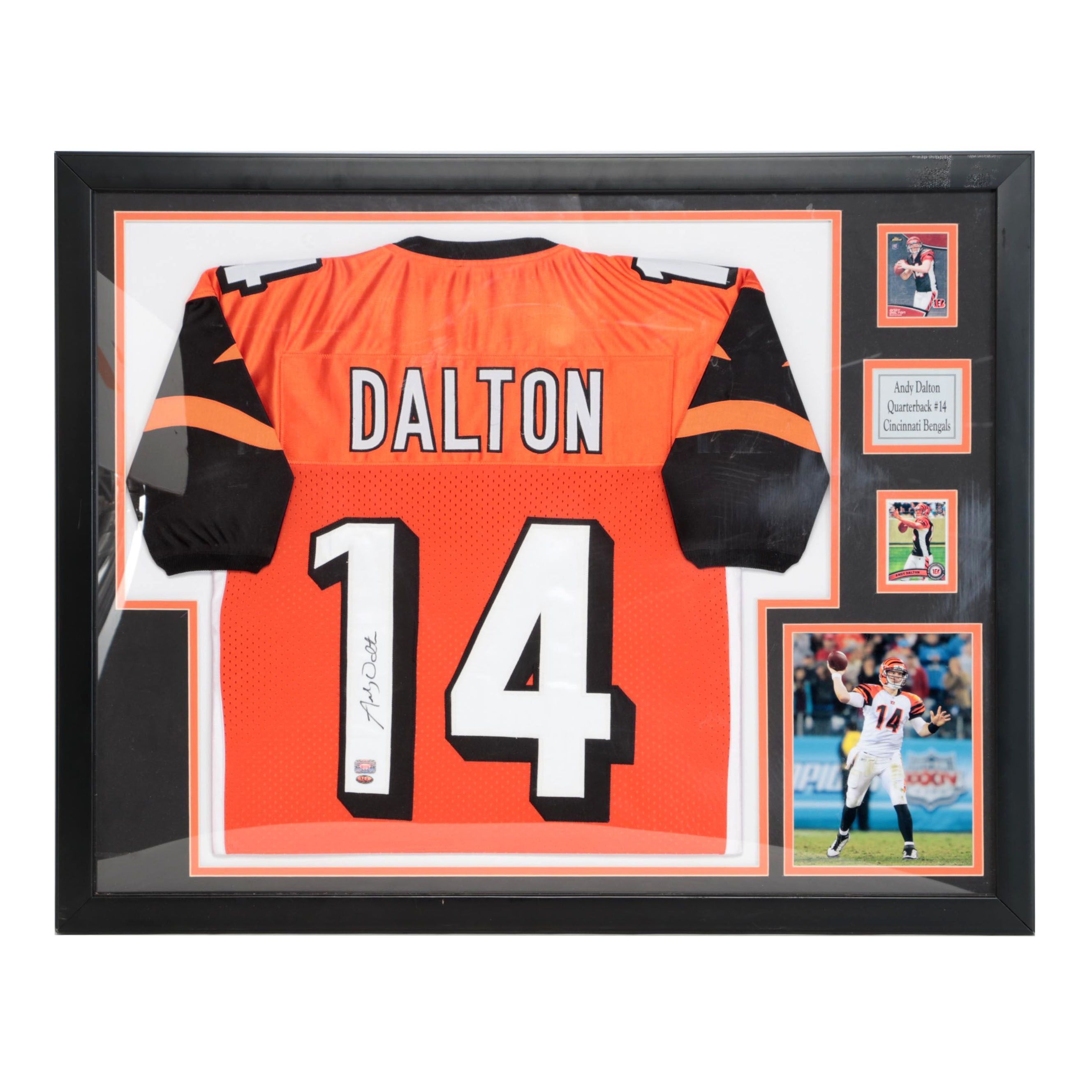 Cincinnati Bengals Andy Dalton Signed Jersey with Cards and Print in Mat Frame