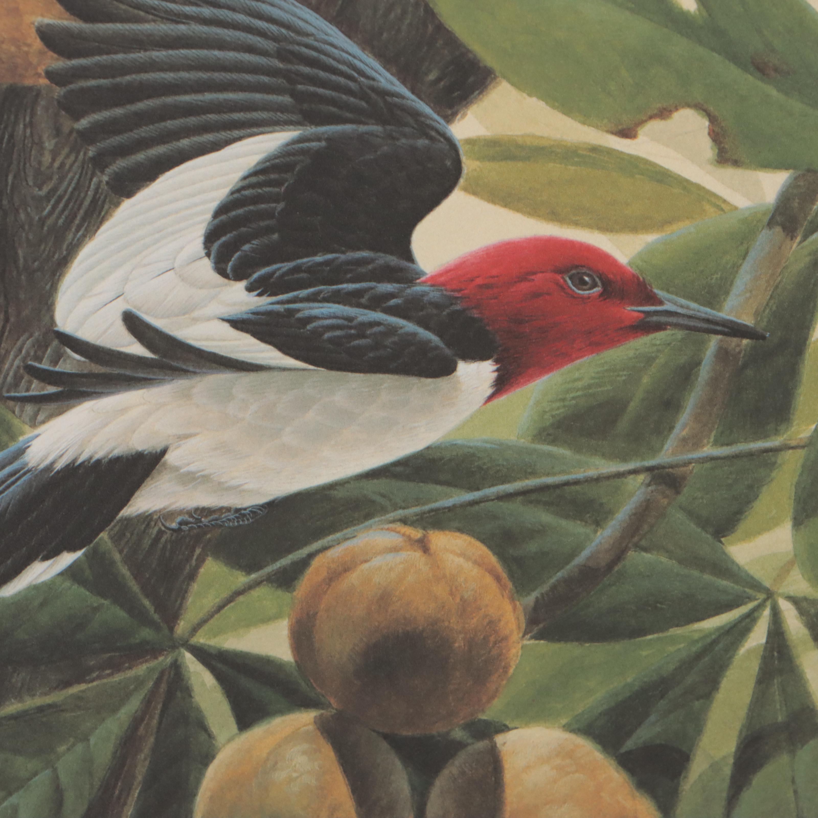 John A. Ruthven Offset Lithograph "Red-Headed Woodpecker"