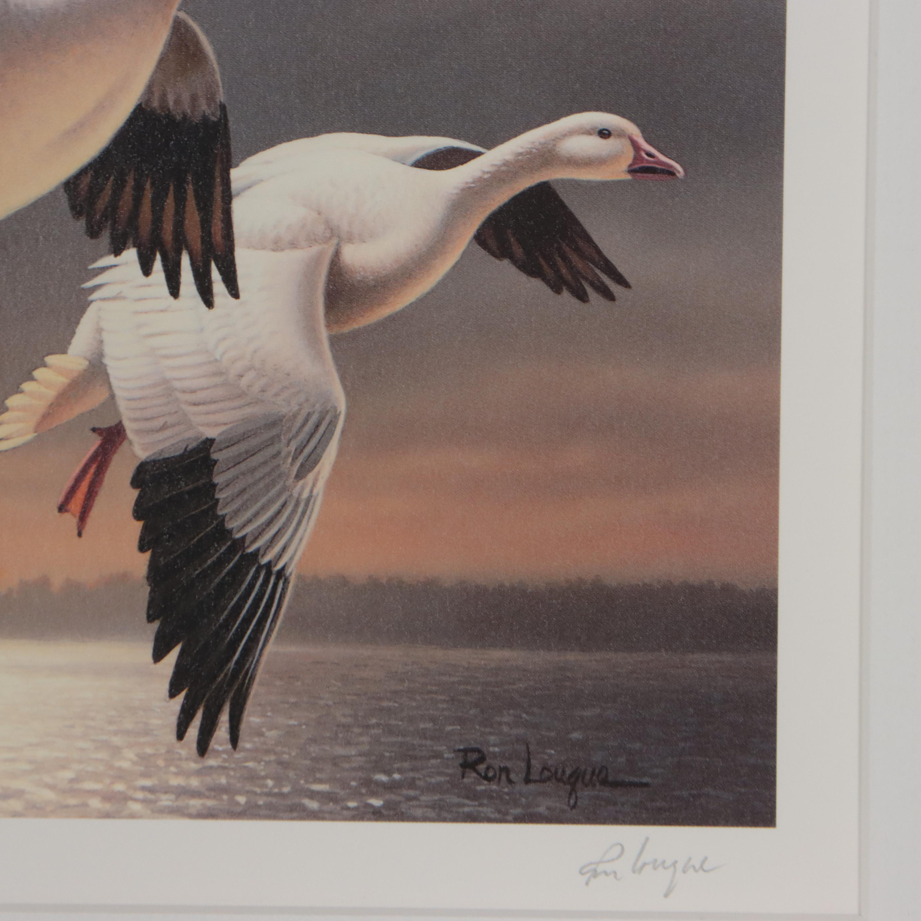 Waterfowl Themed Offset Lithographs and Postage Stamps
