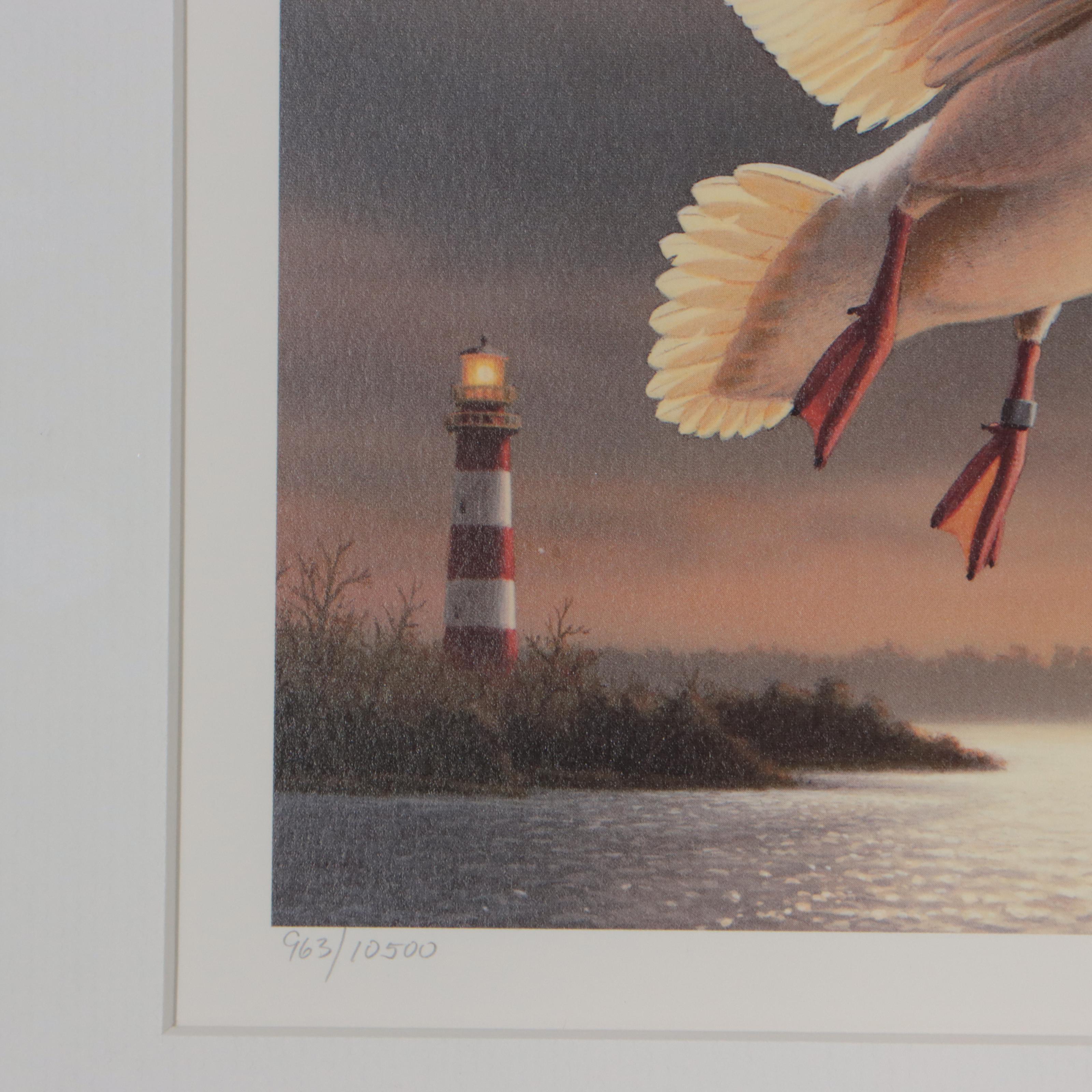 Waterfowl Themed Offset Lithographs and Postage Stamps