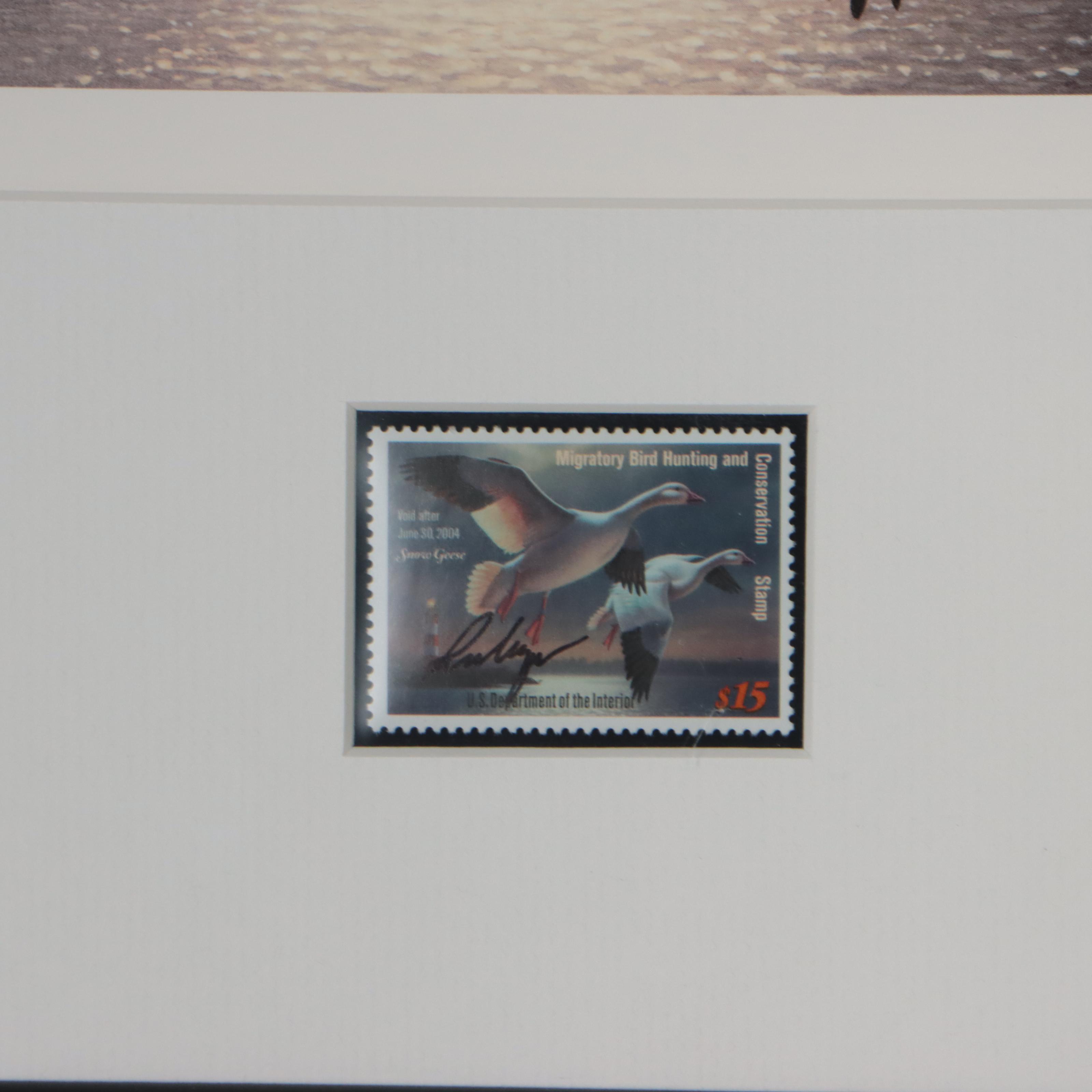 Waterfowl Themed Offset Lithographs and Postage Stamps
