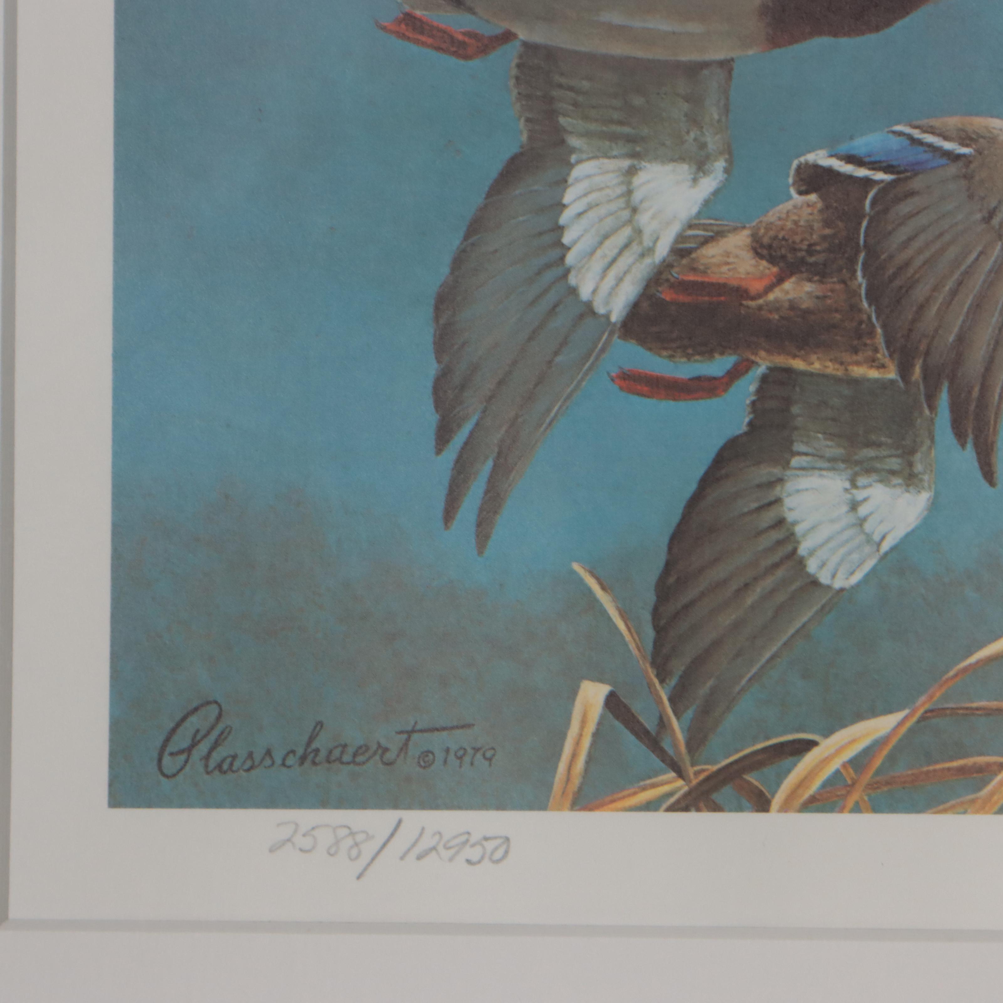 Waterfowl Themed Offset Lithographs and Postage Stamps
