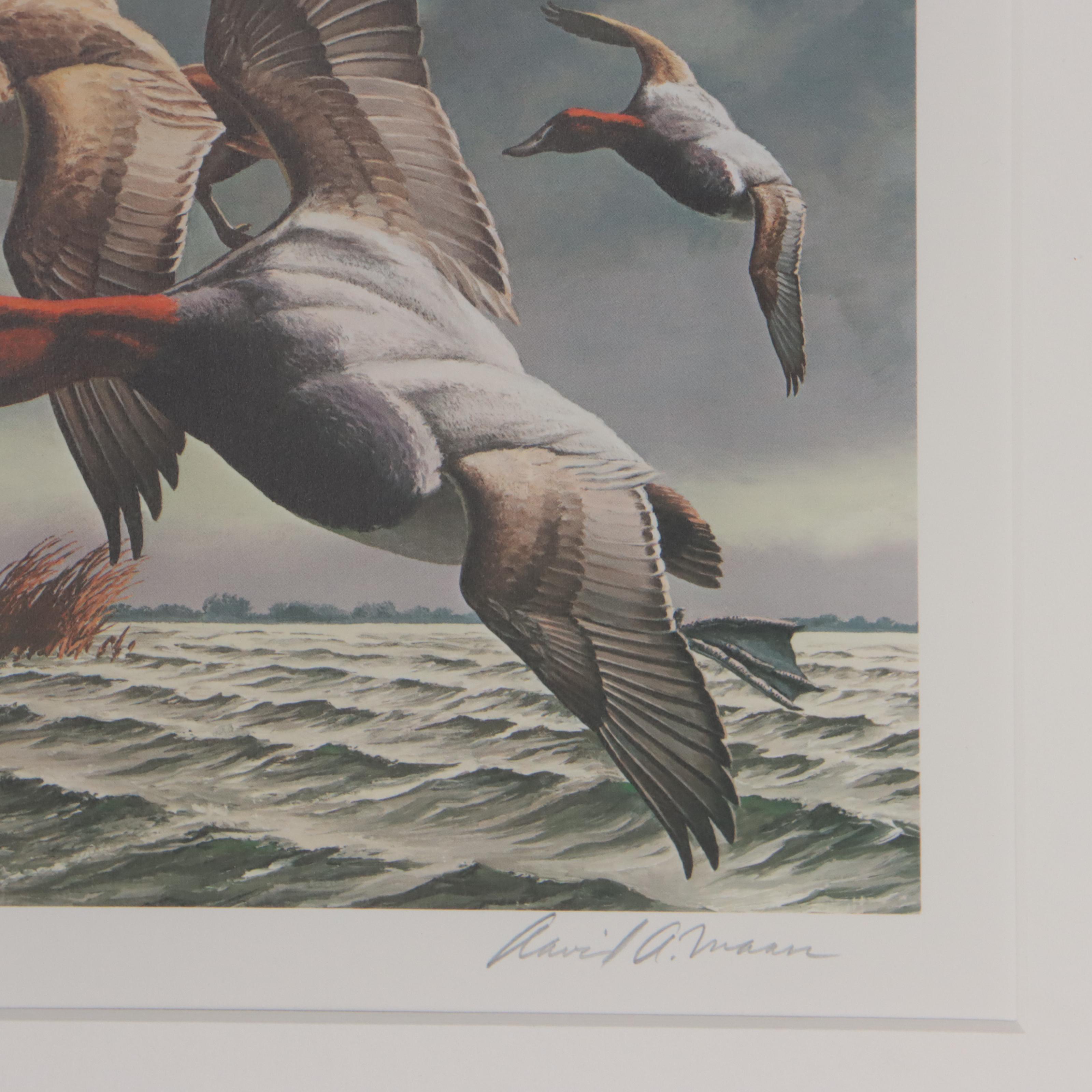 Waterfowl Themed Offset Lithographs and Postage Stamps
