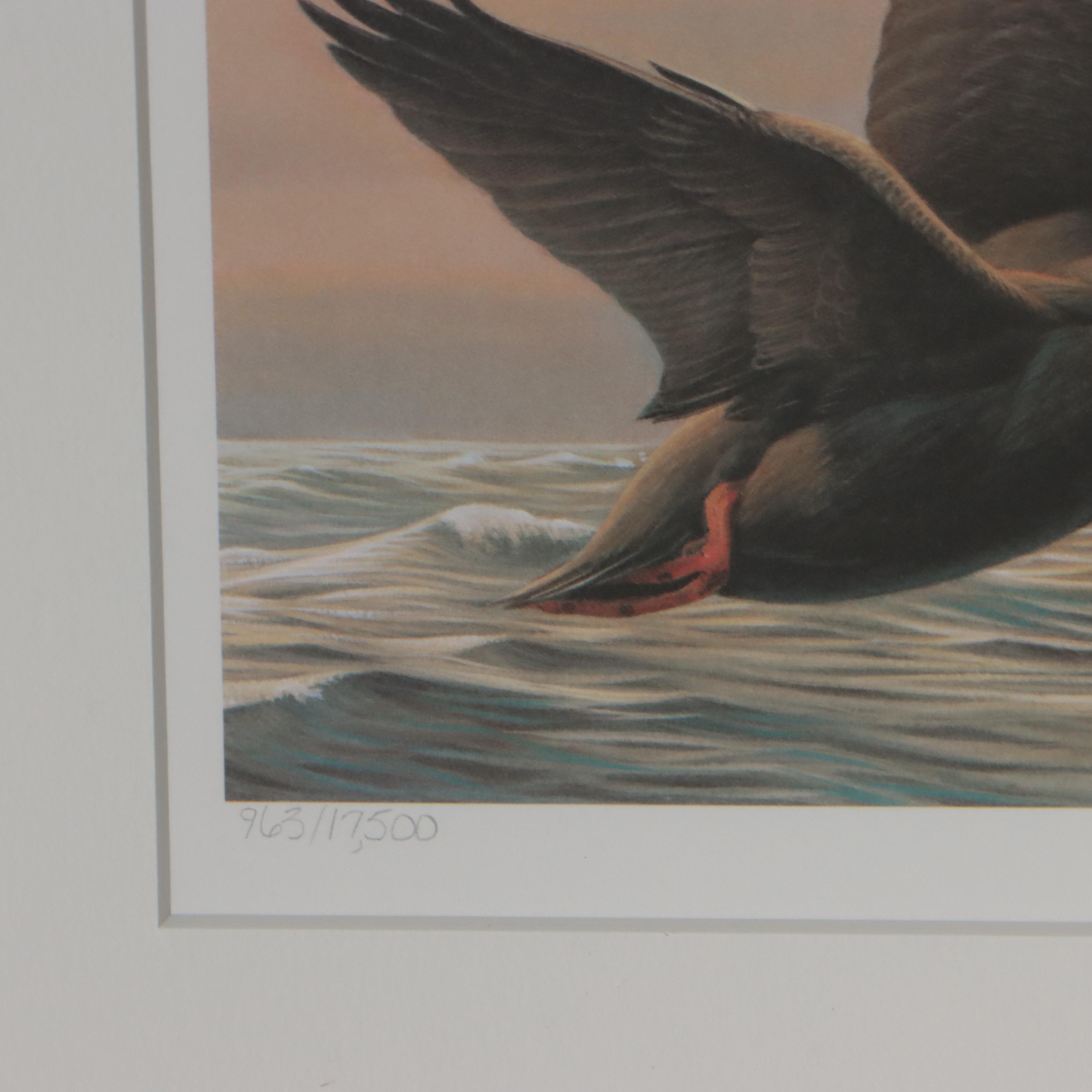 Waterfowl Themed Offset Lithographs and Postage Stamps