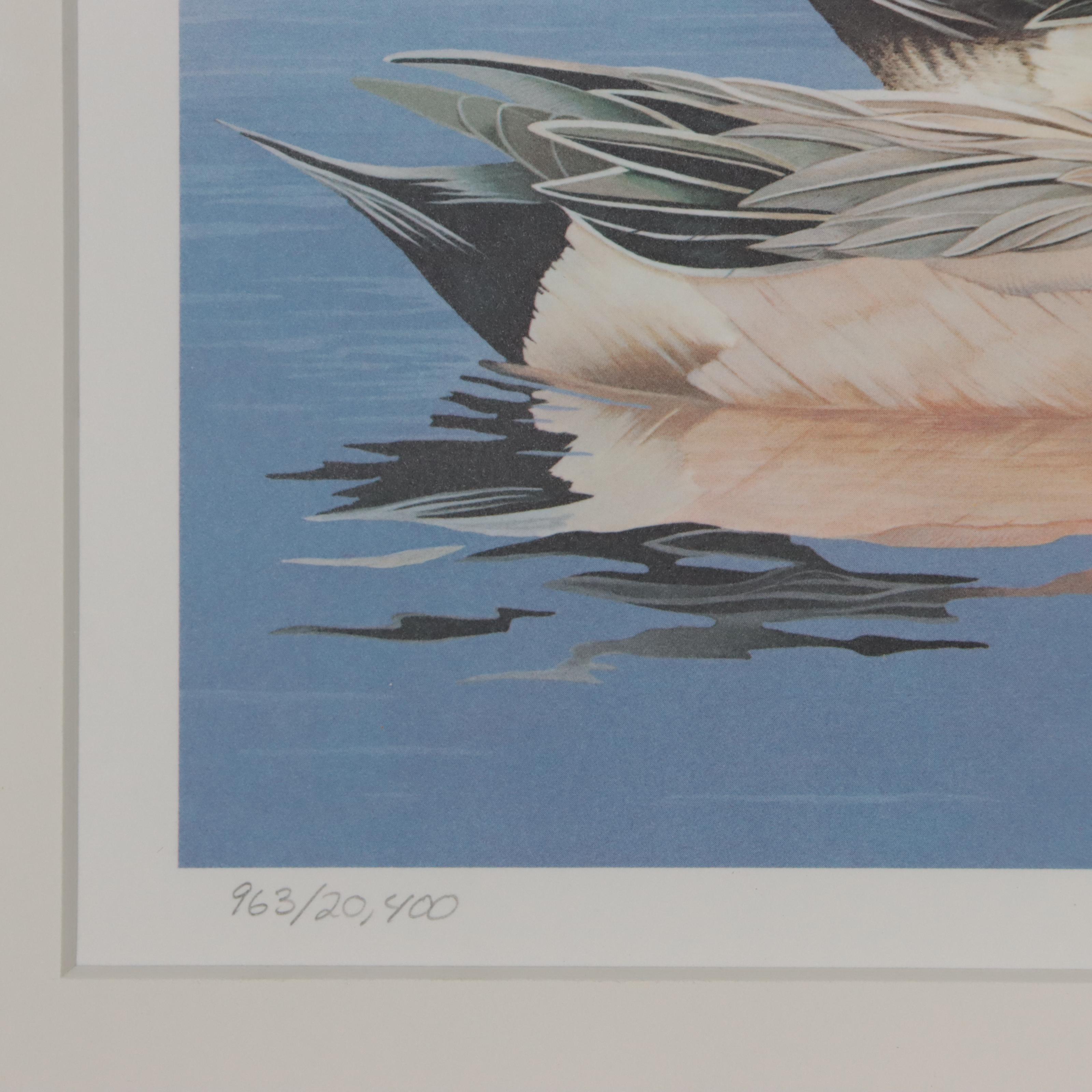 Waterfowl Themed Offset Lithographs and Postage Stamps