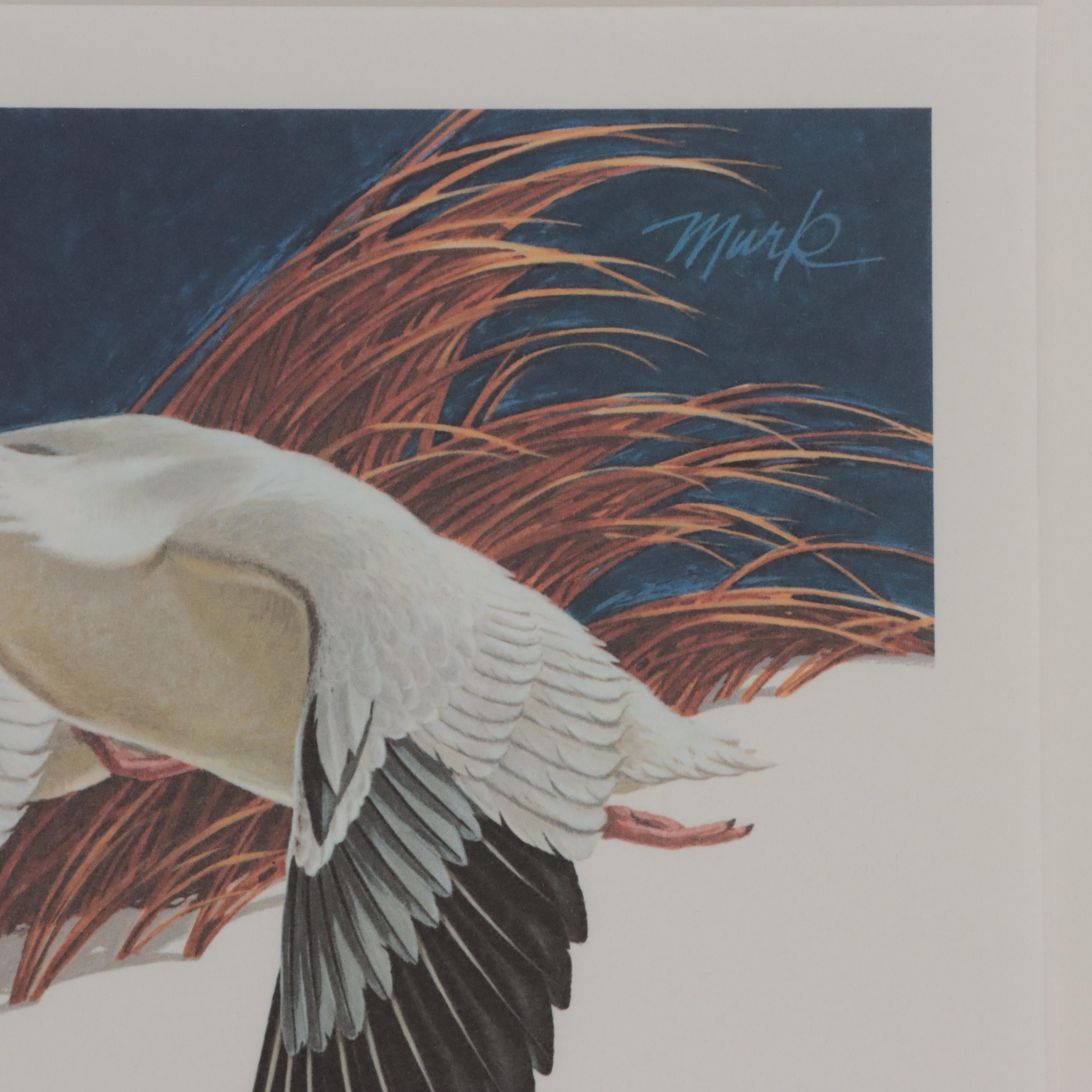 Waterfowl Themed Offset Lithographs and Postage Stamps