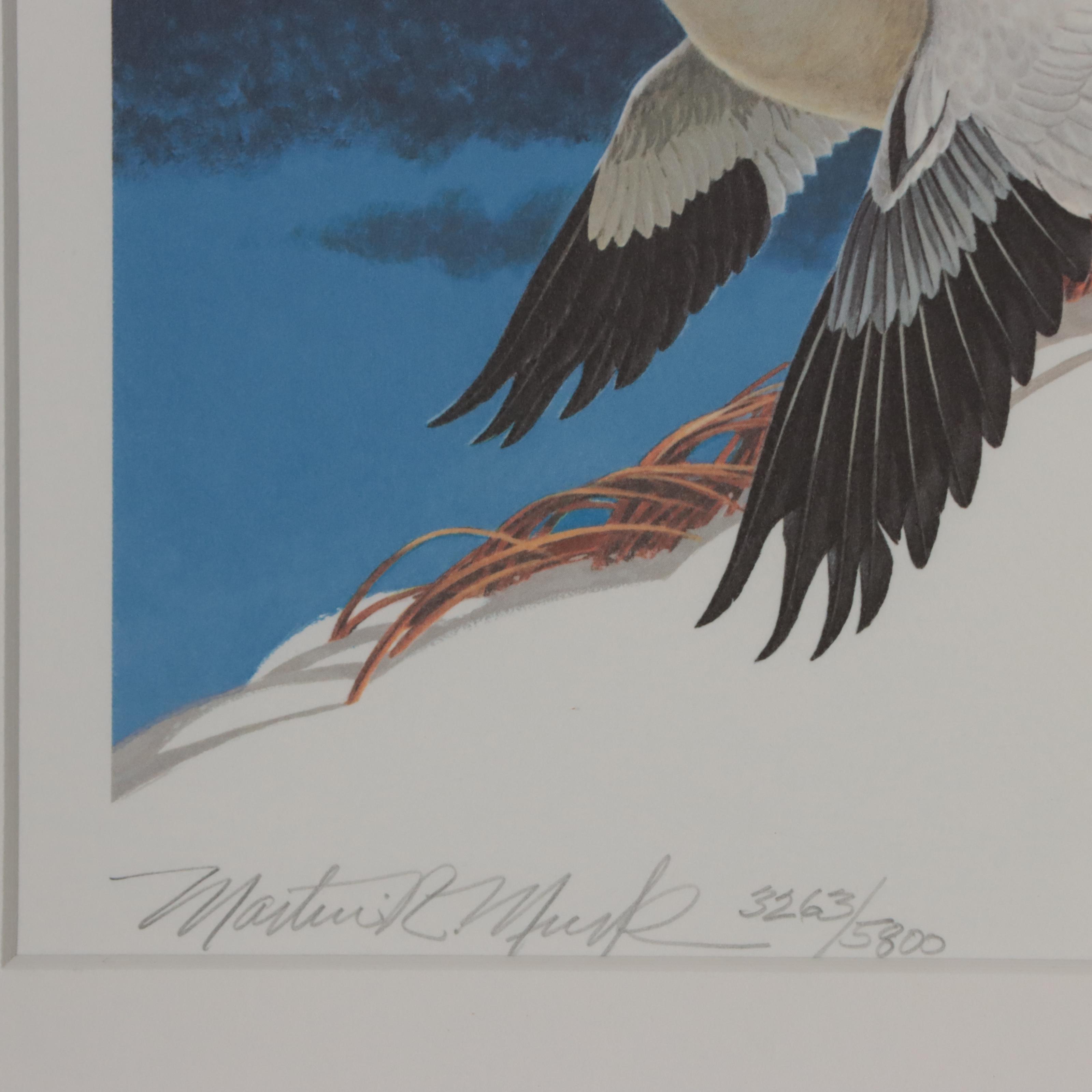 Waterfowl Themed Offset Lithographs and Postage Stamps