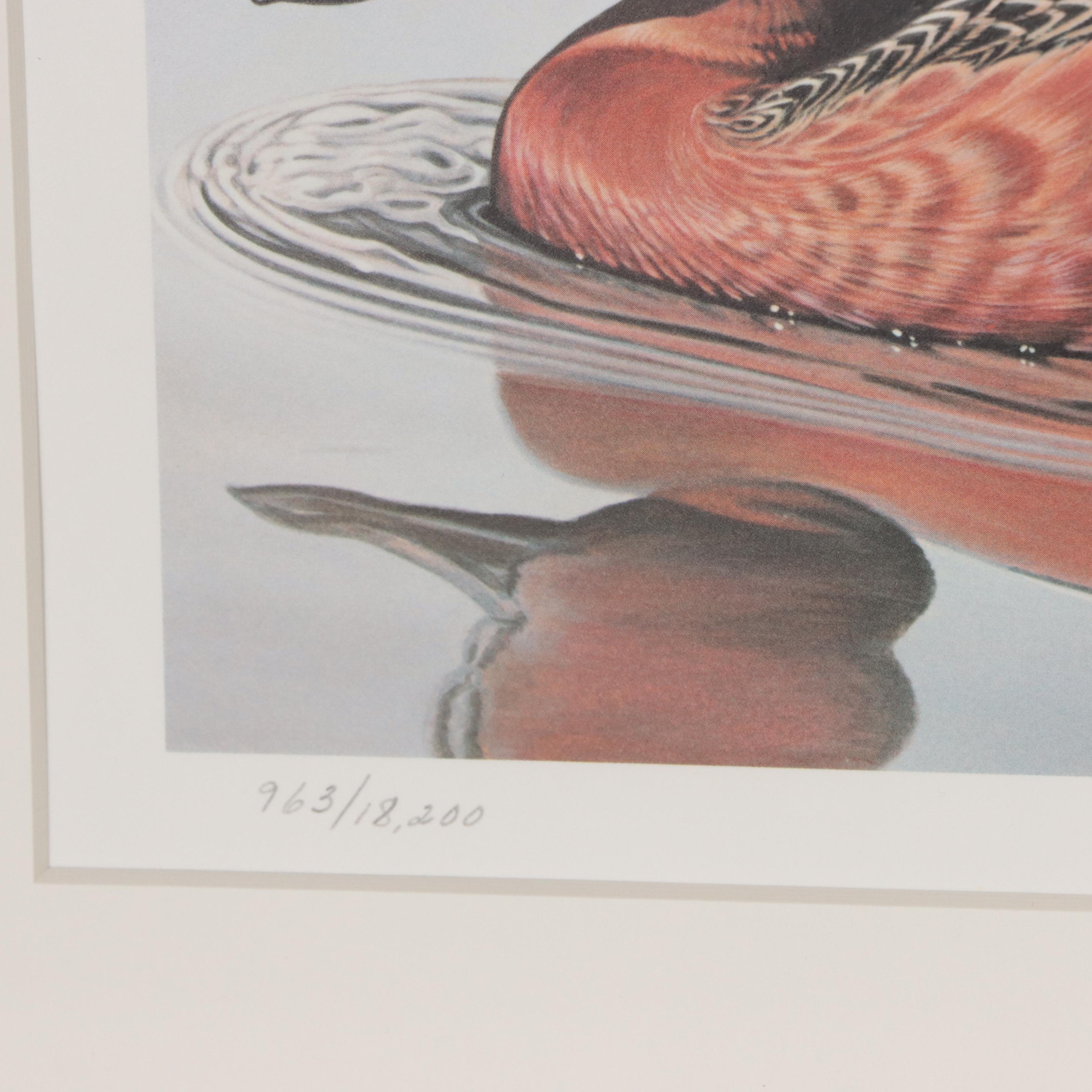 Waterfowl Themed Offset Lithographs and Postage Stamps