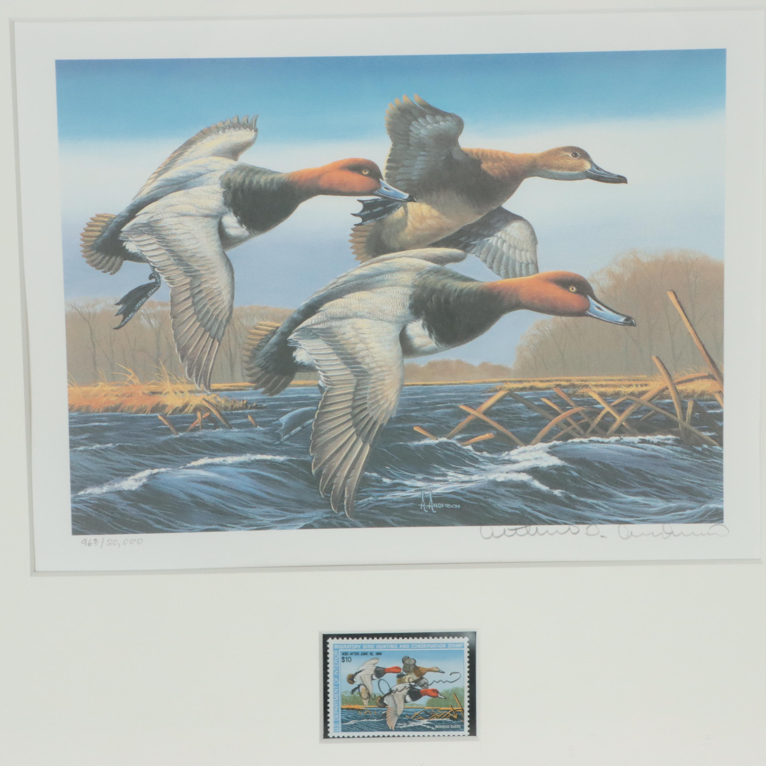 Waterfowl Themed Offset Lithographs and Postage Stamps
