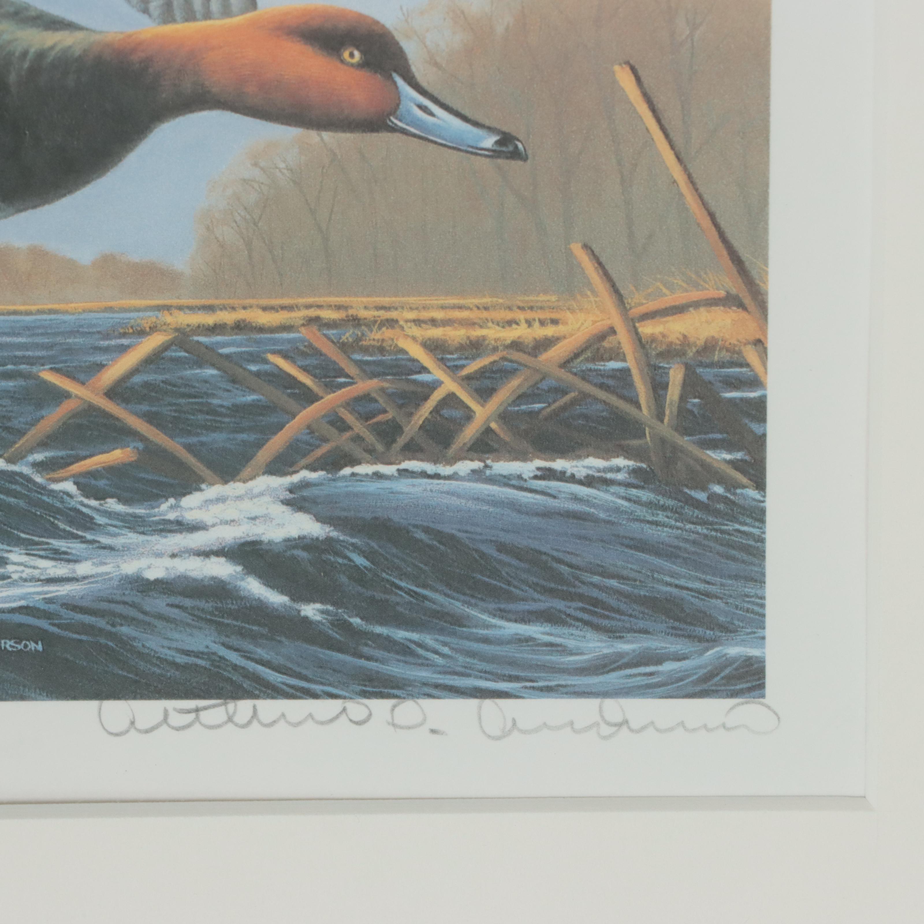 Waterfowl Themed Offset Lithographs and Postage Stamps