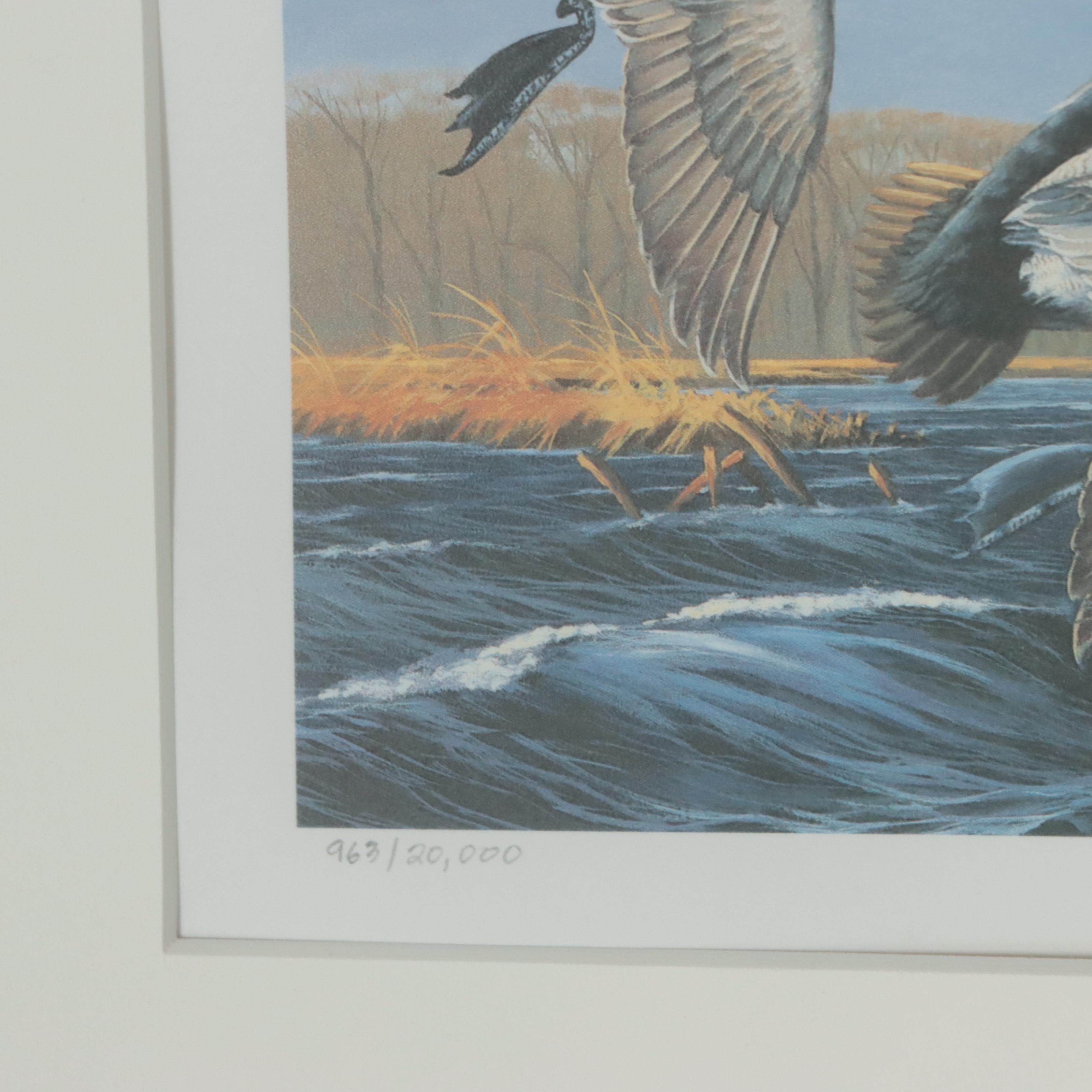 Waterfowl Themed Offset Lithographs and Postage Stamps