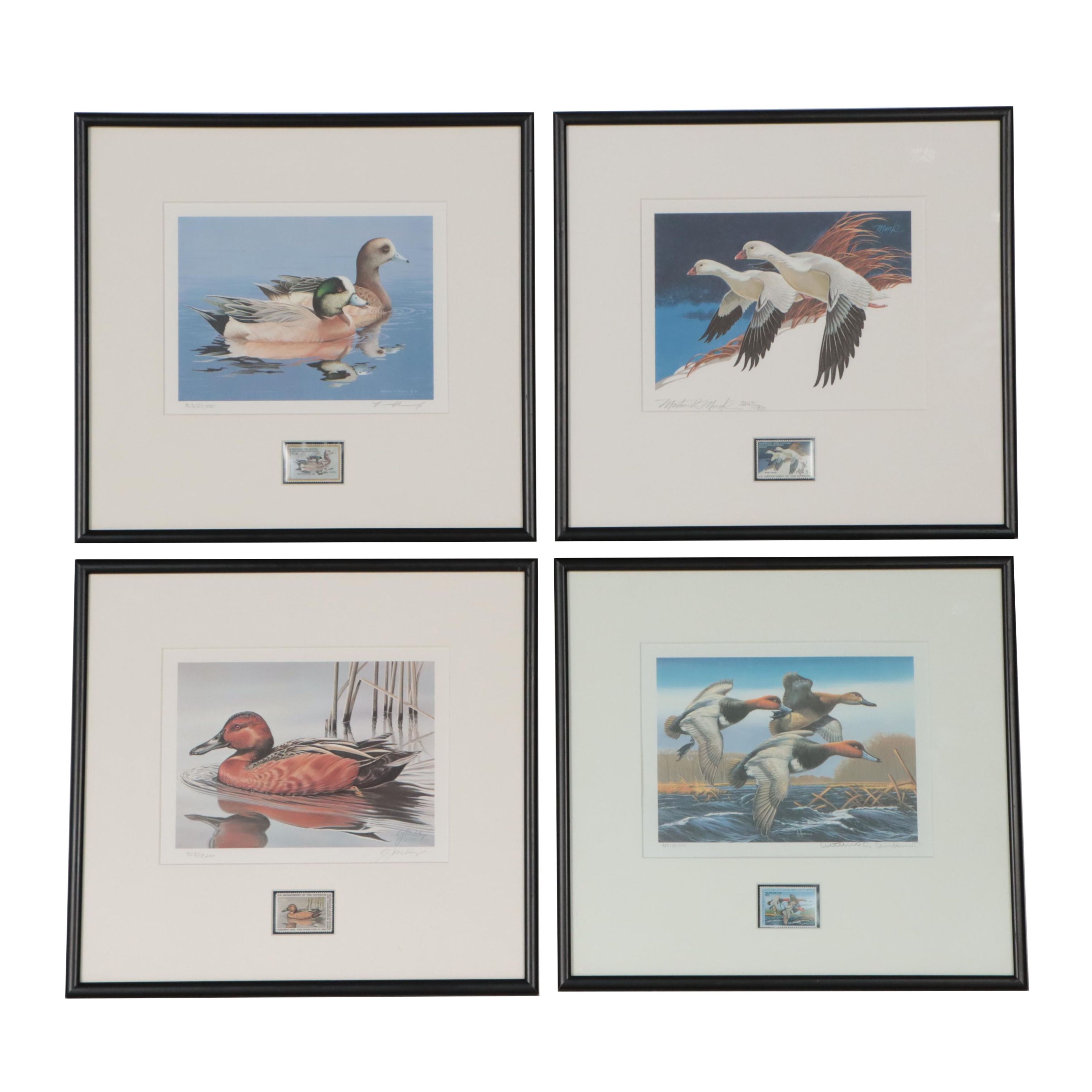 Waterfowl Themed Offset Lithographs and Postage Stamps