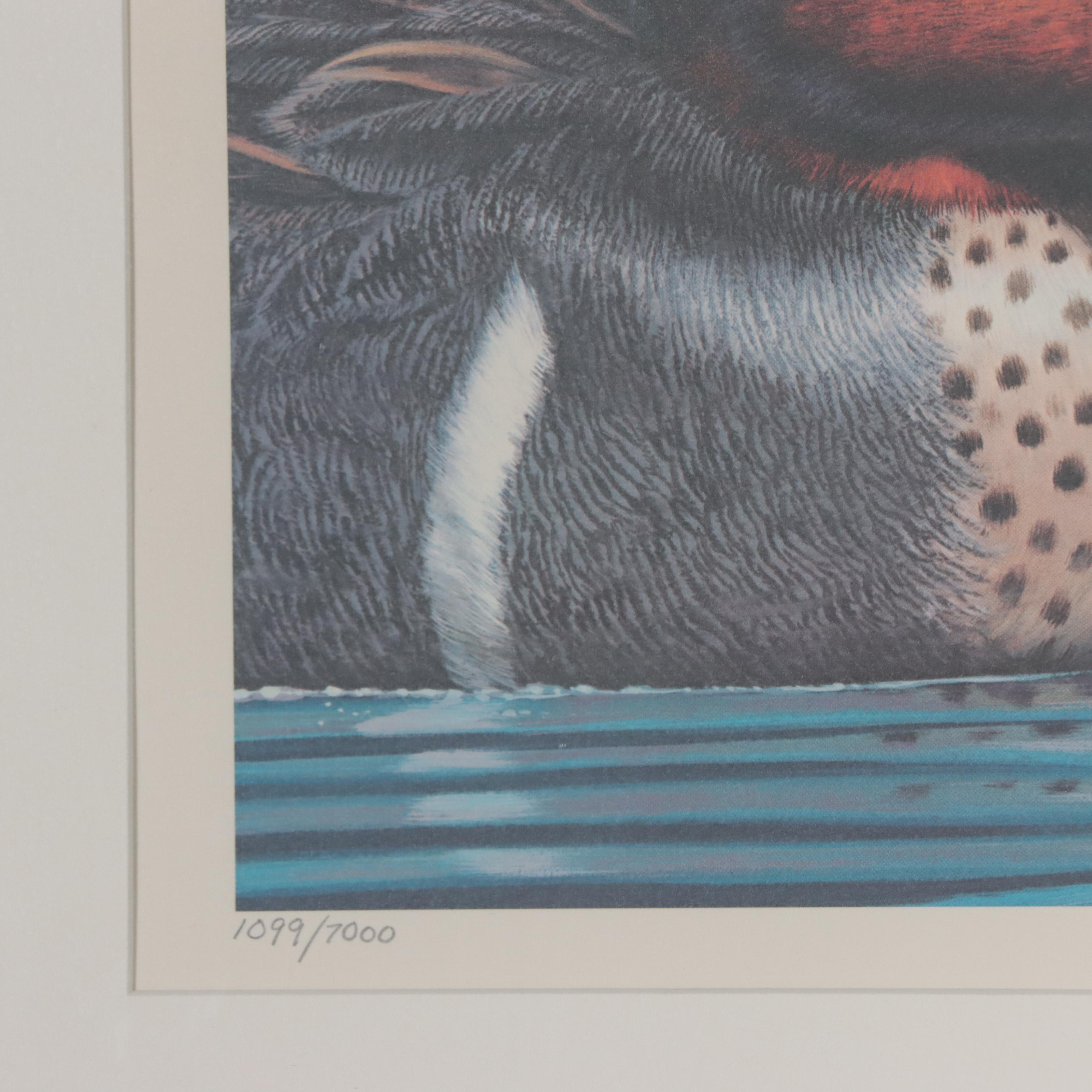 Waterfowl Themed Offset Lithographs and Postage Stamps