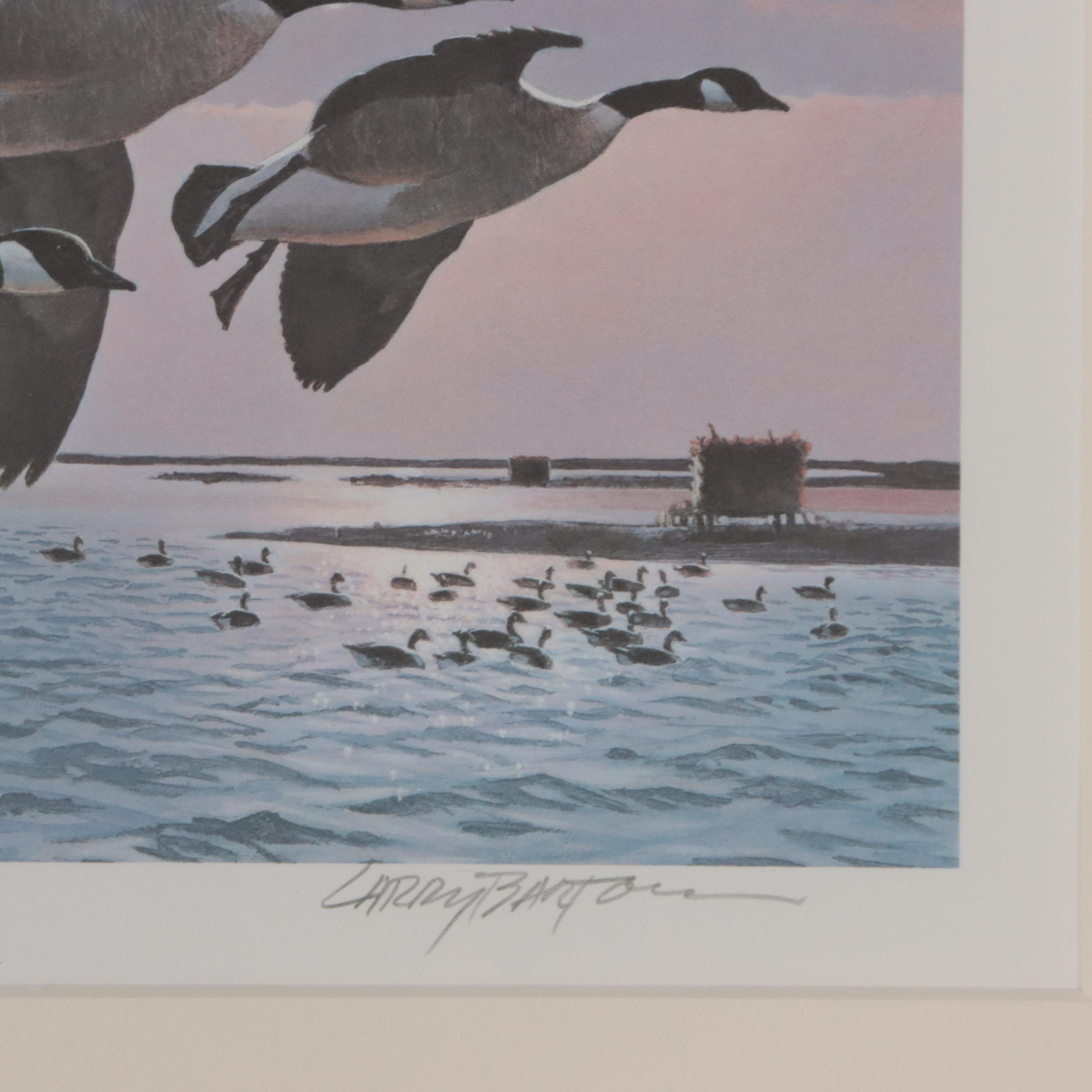 Waterfowl Themed Offset Lithographs and Postage Stamps