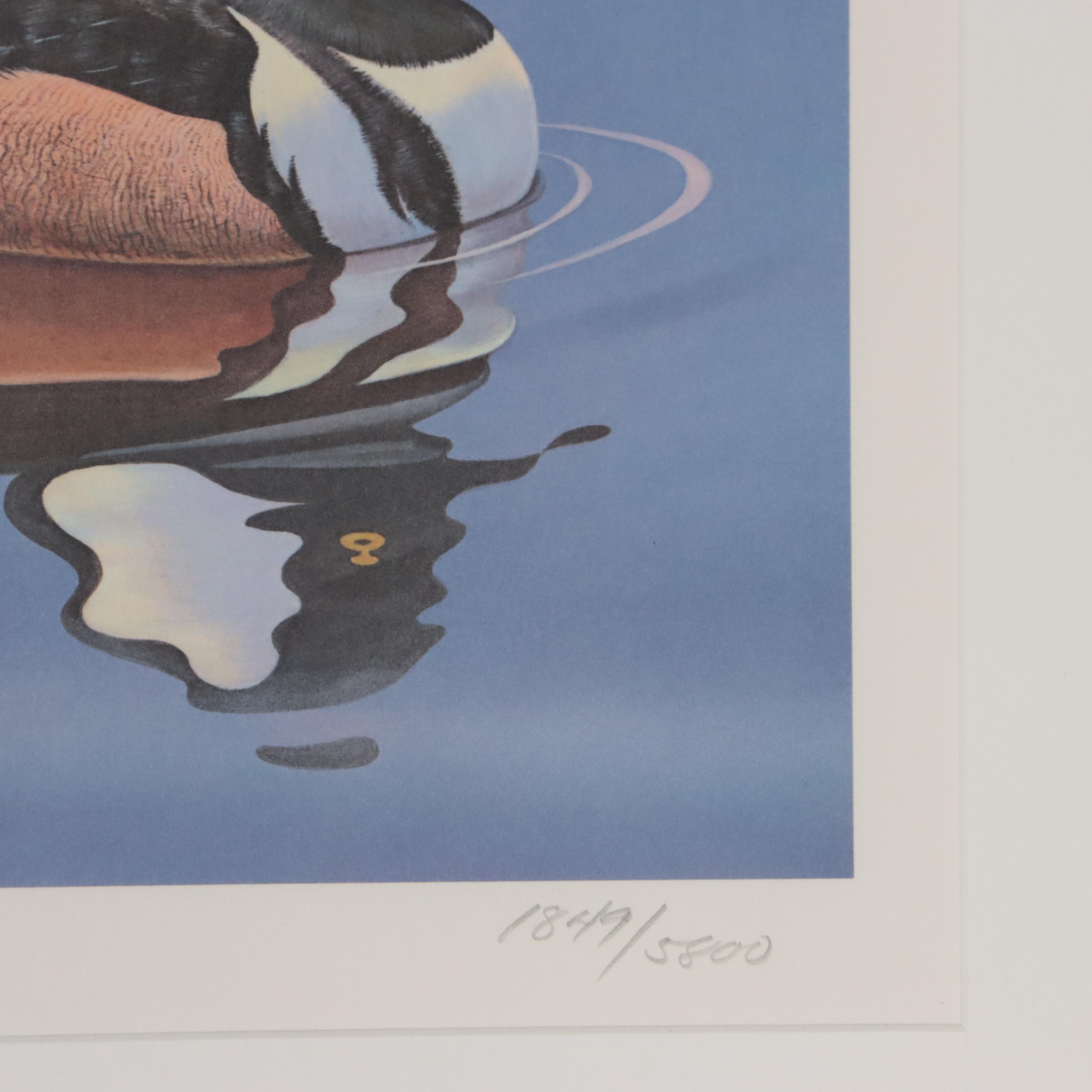 Waterfowl Themed Offset Lithographs and Postage Stamps