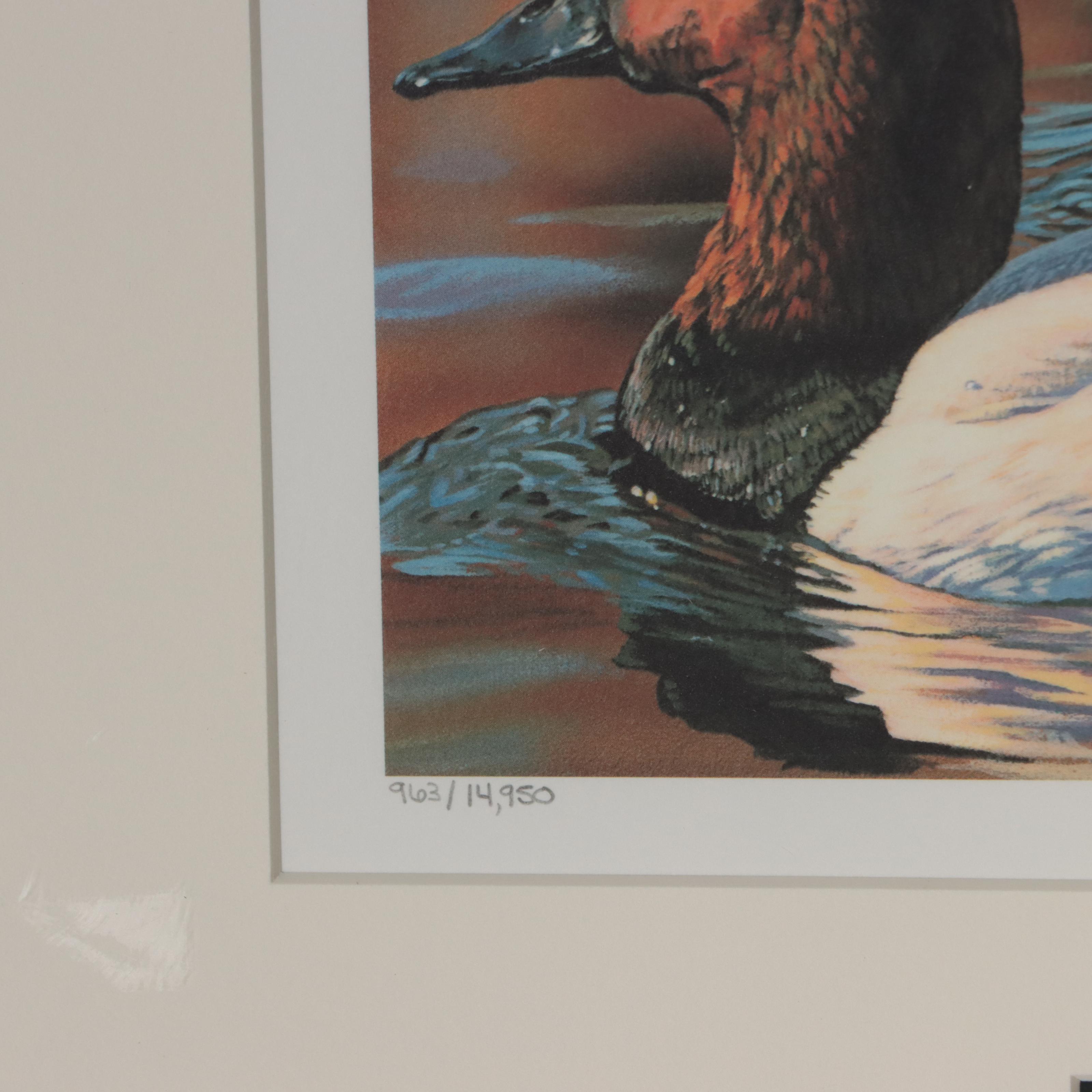 Waterfowl Themed Offset Lithographs and Postage Stamps