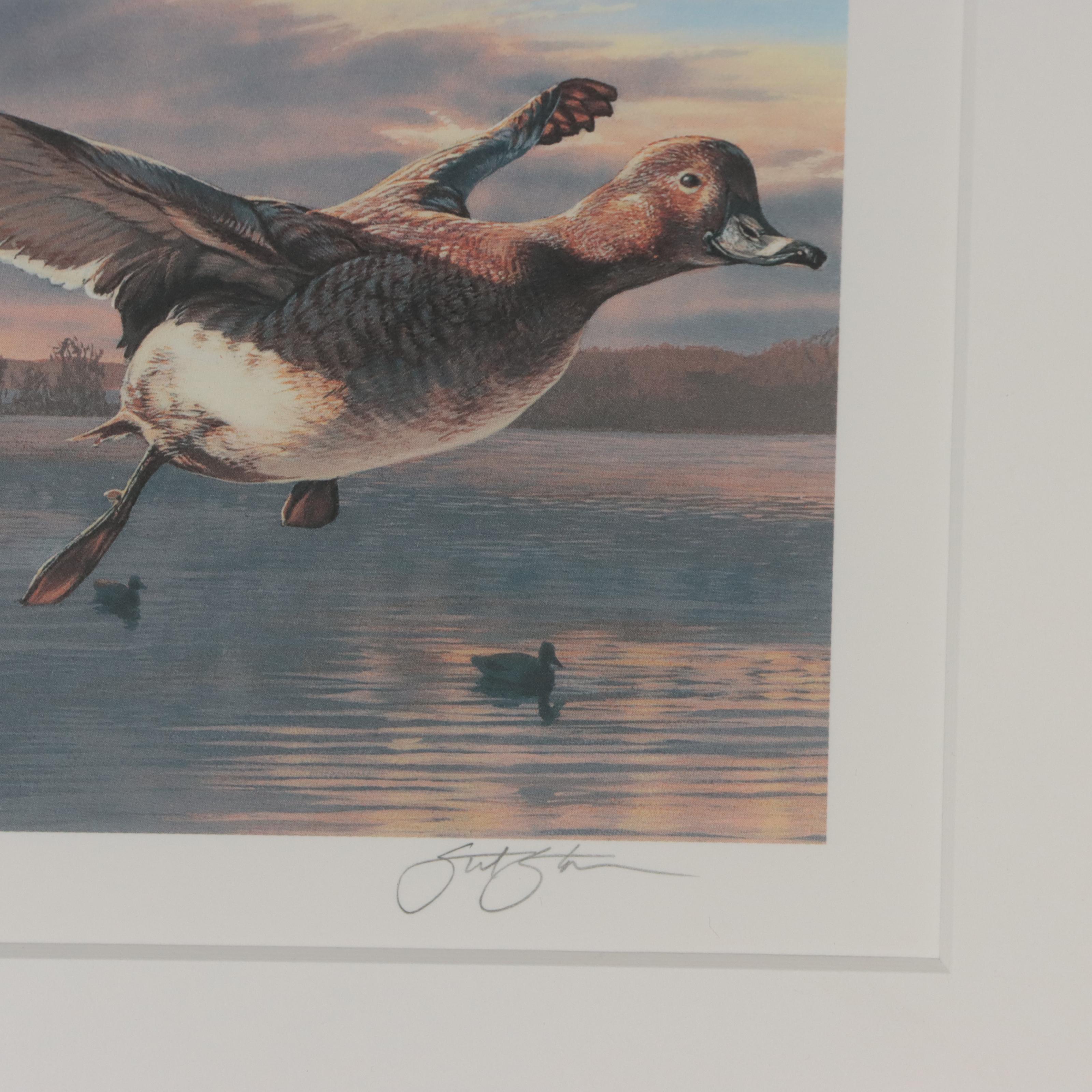 Waterfowl Themed Offset Lithographs and Postage Stamps