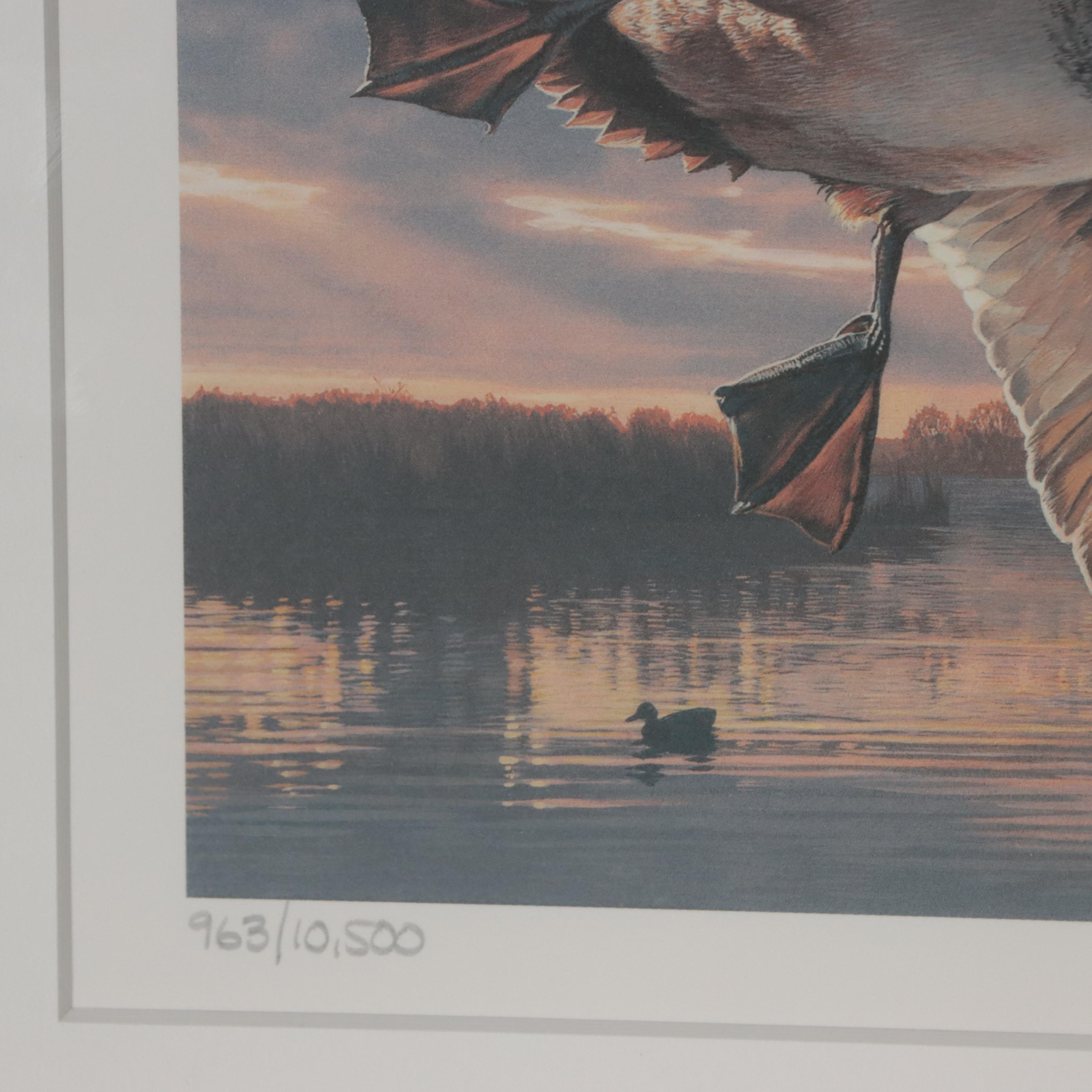 Waterfowl Themed Offset Lithographs and Postage Stamps