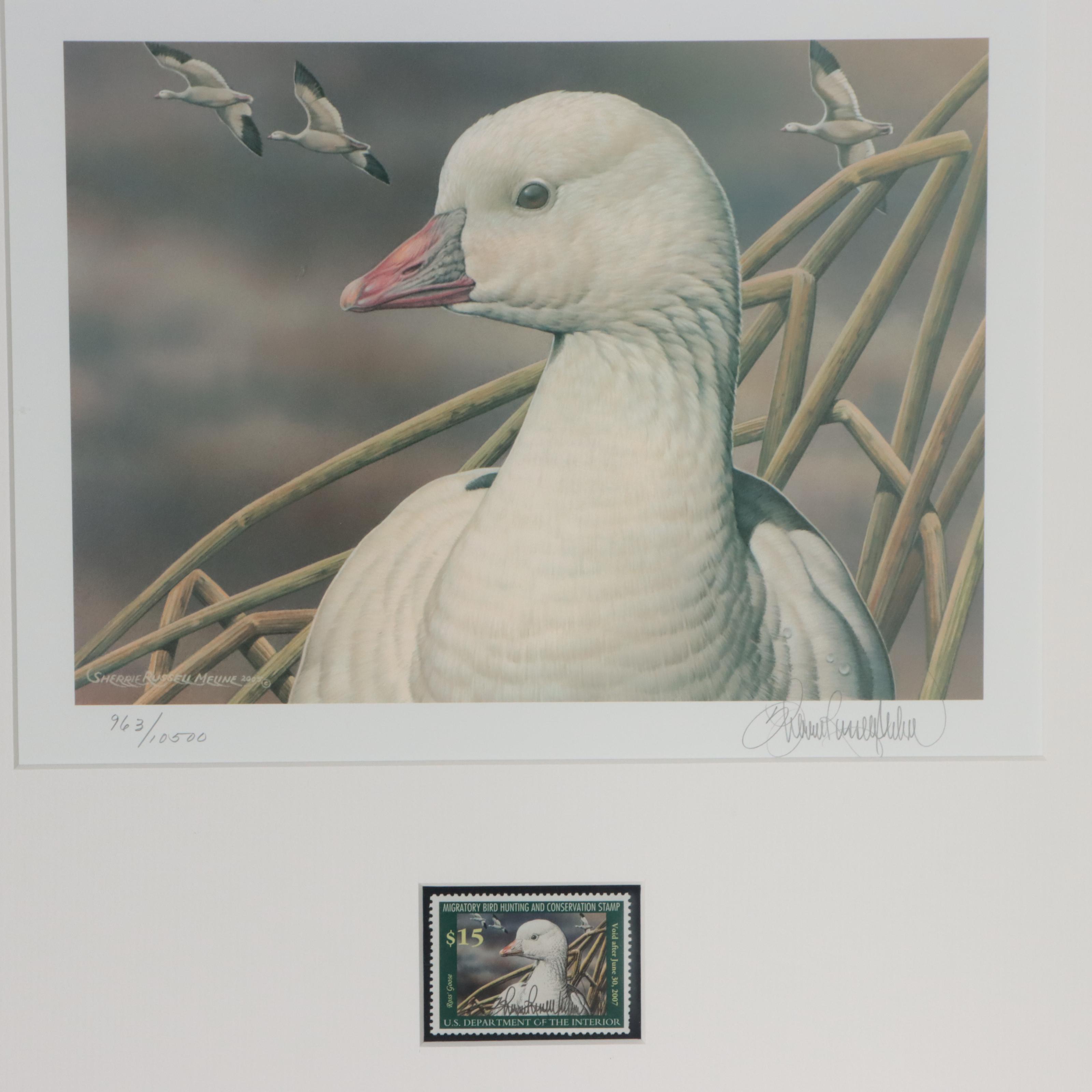Waterfowl Themed Offset Lithographs and Postage Stamps