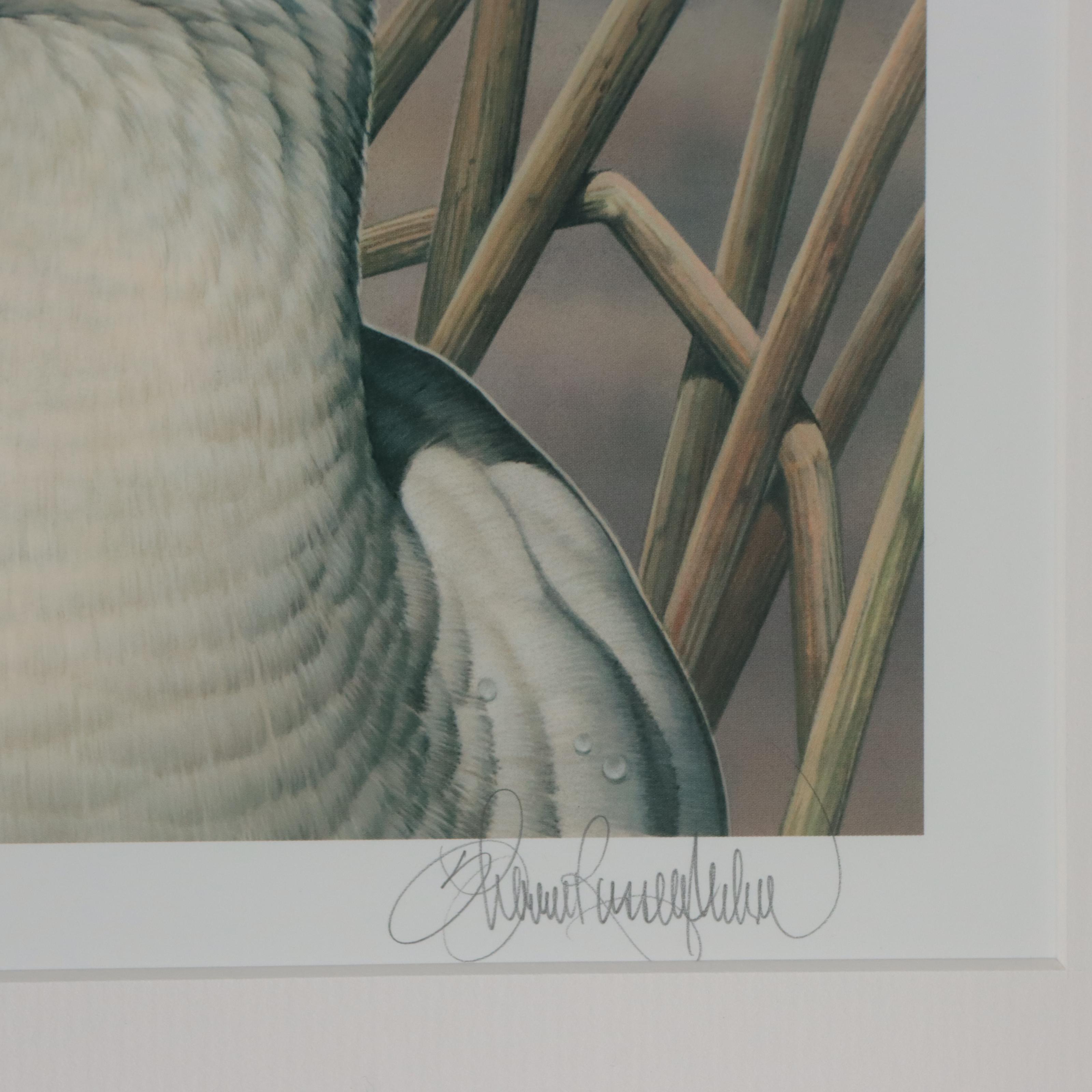 Waterfowl Themed Offset Lithographs and Postage Stamps