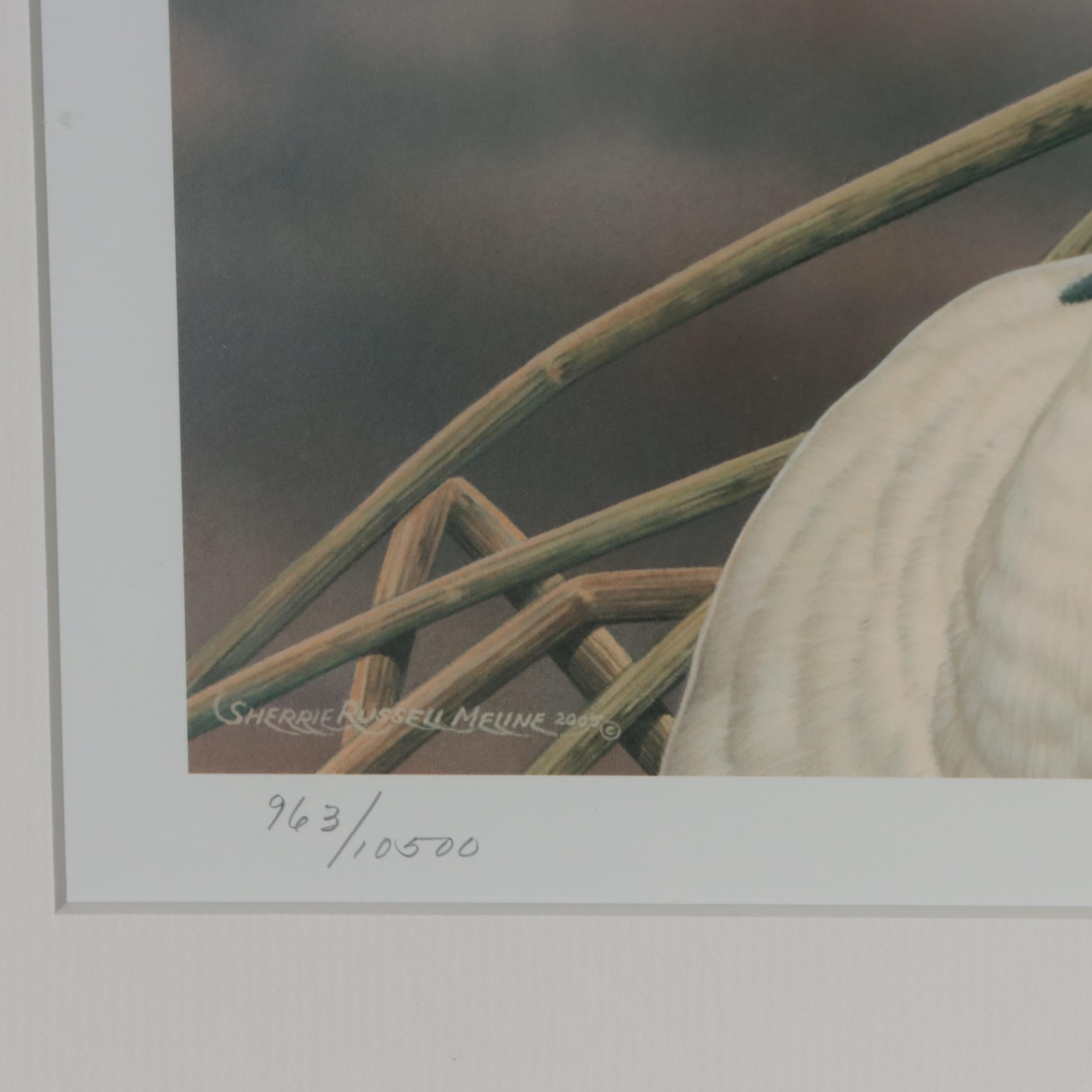 Waterfowl Themed Offset Lithographs and Postage Stamps