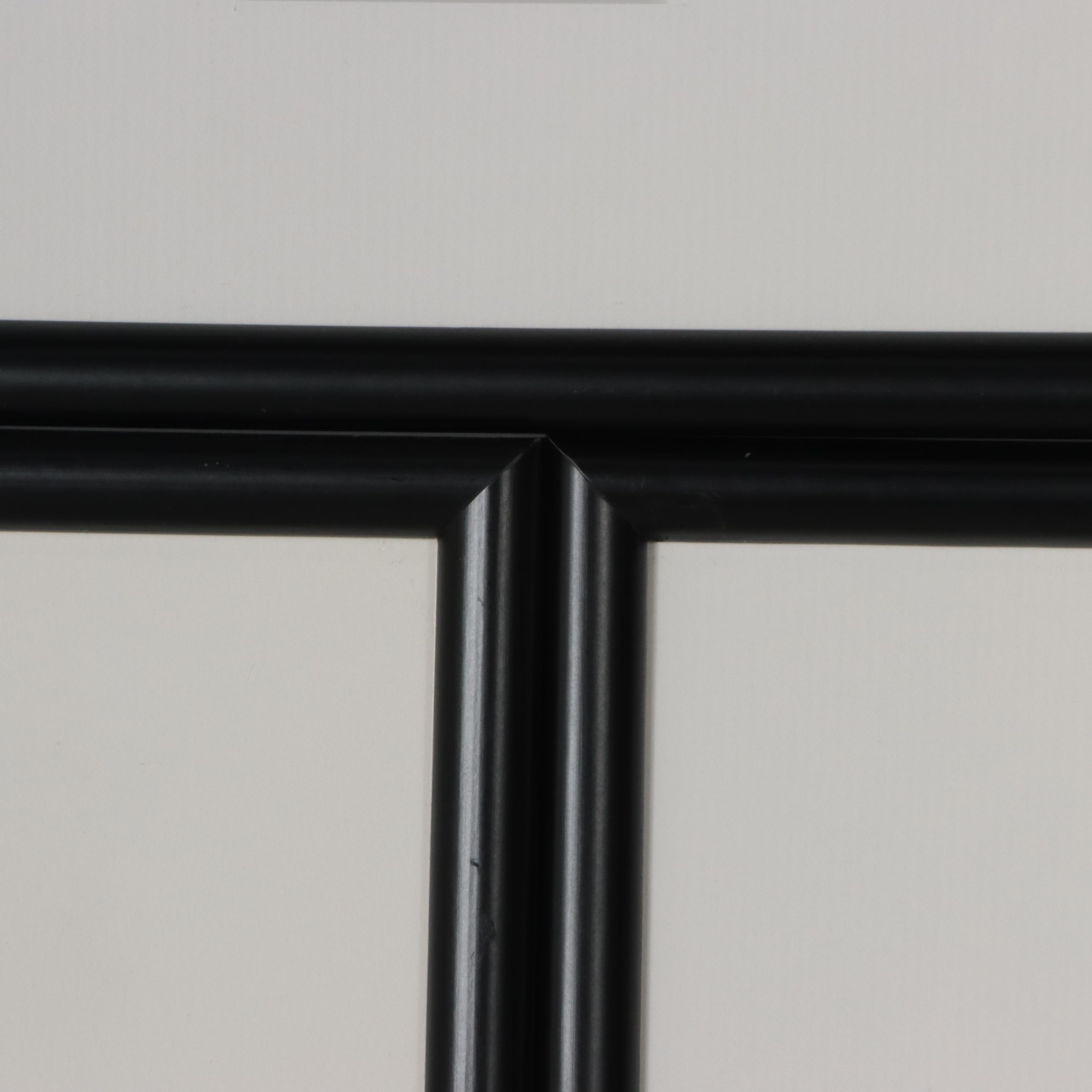 Waterfowl Themed Offset Lithographs and Postage Stamps