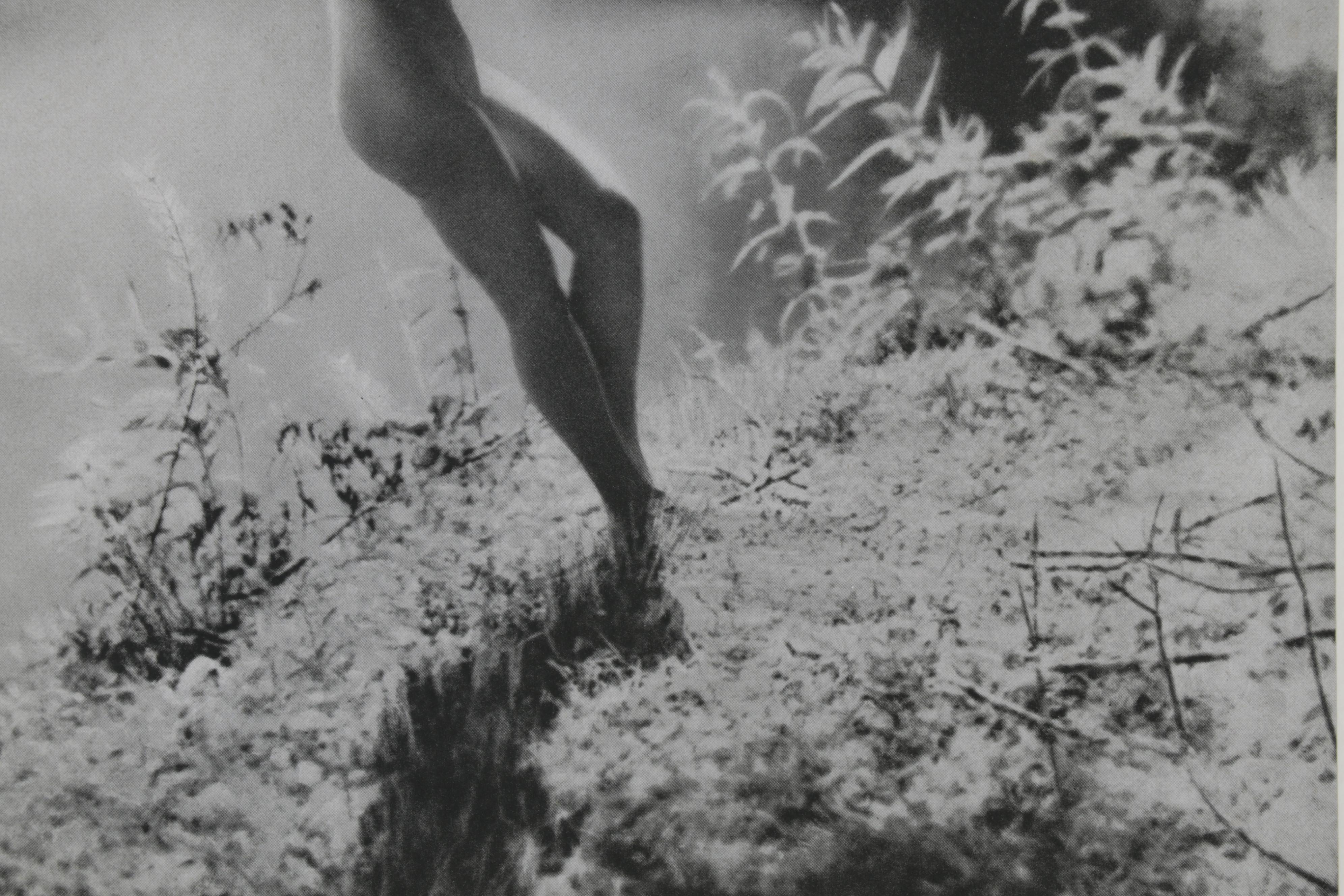 Carl Semon Female Nude Portrait Halftone From "Das Deutsche Aktwerk," Circa 1940