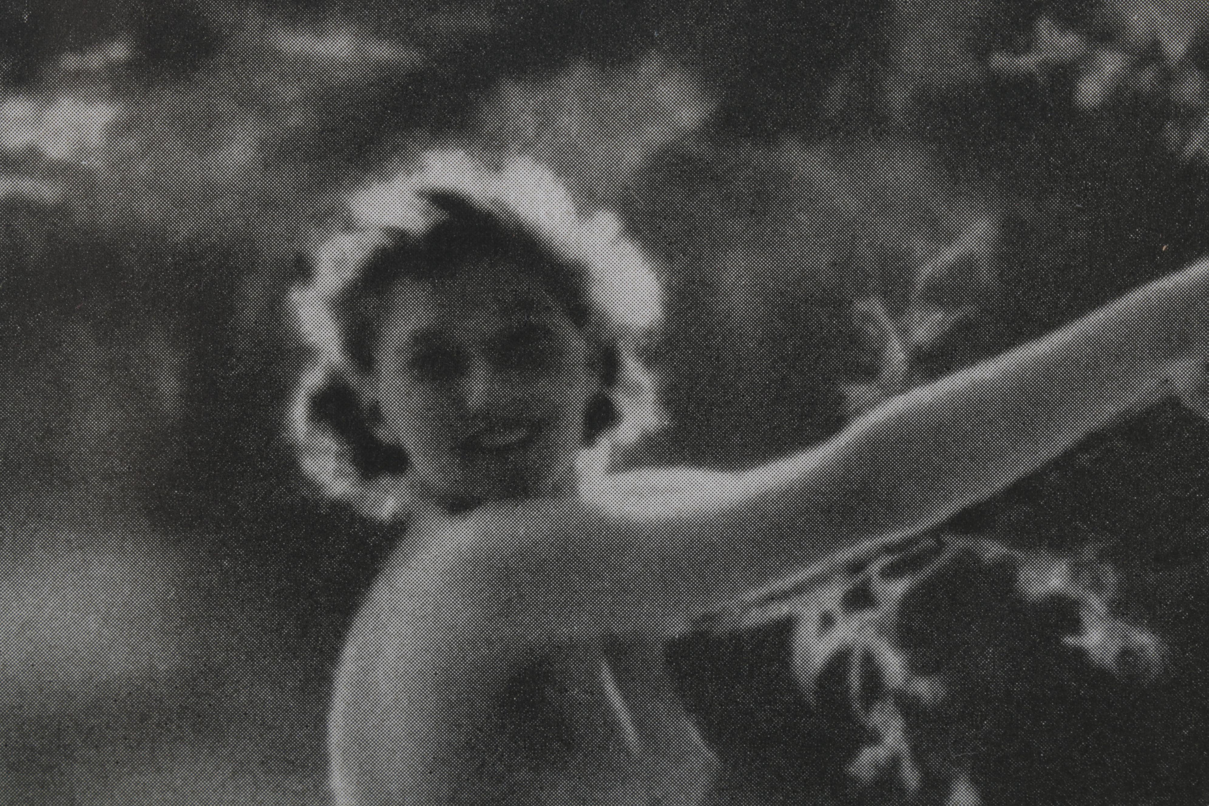 Carl Semon Female Nude Portrait Halftone From "Das Deutsche Aktwerk," Circa 1940