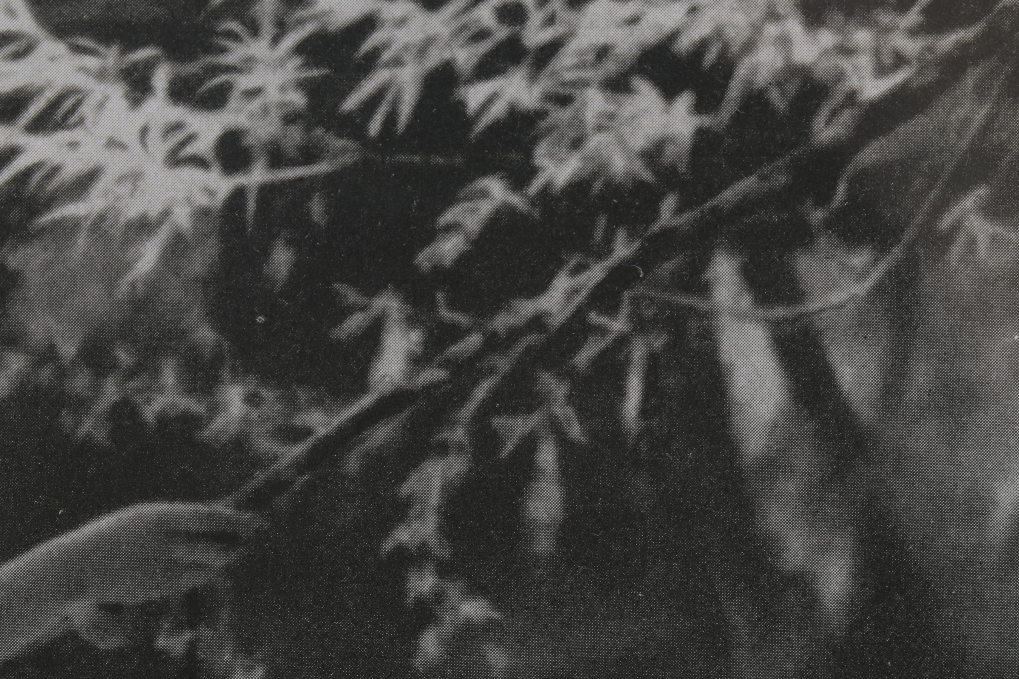 Carl Semon Female Nude Portrait Halftone From "Das Deutsche Aktwerk," Circa 1940