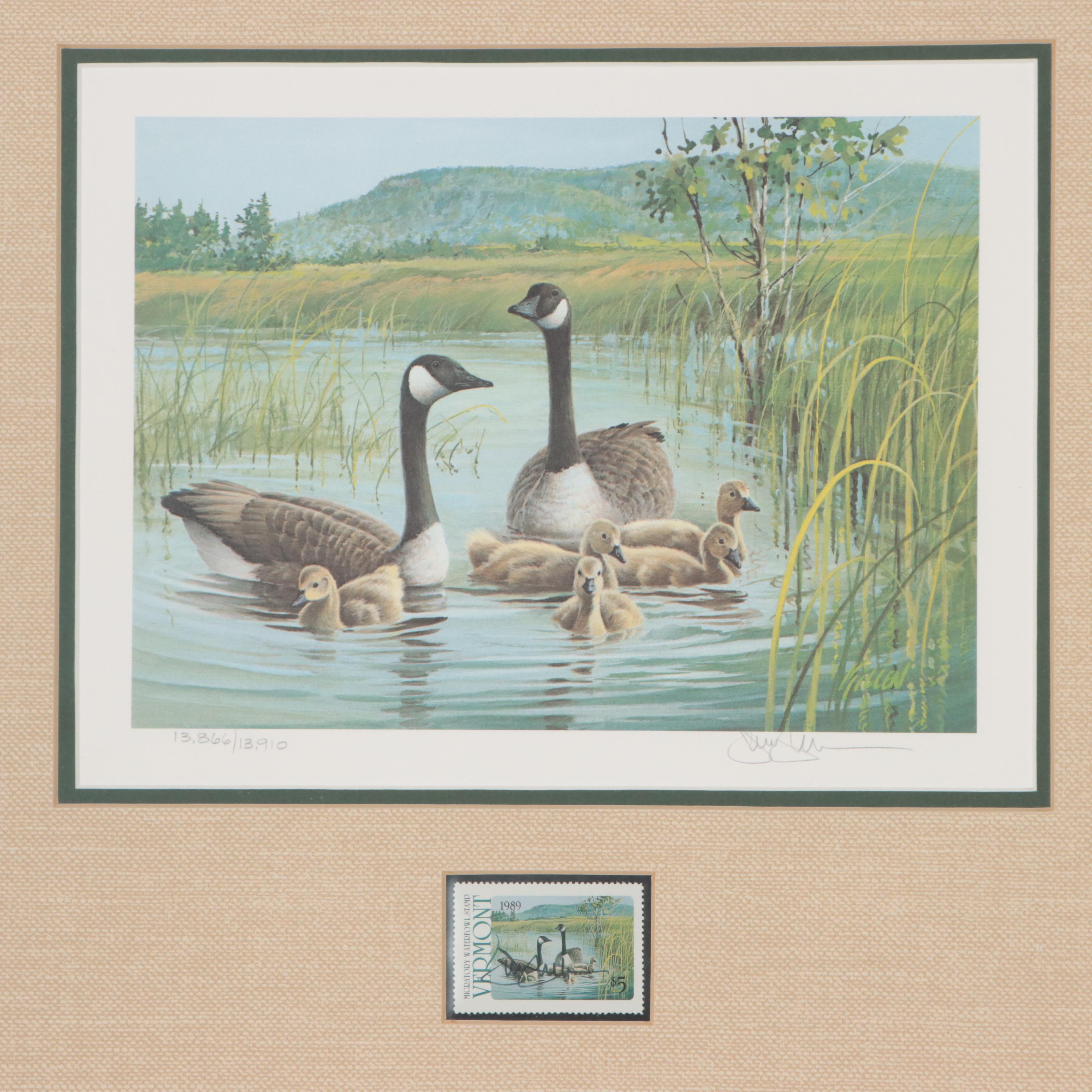 Waterfowl Themed Offset Lithographs and Postage Stamps