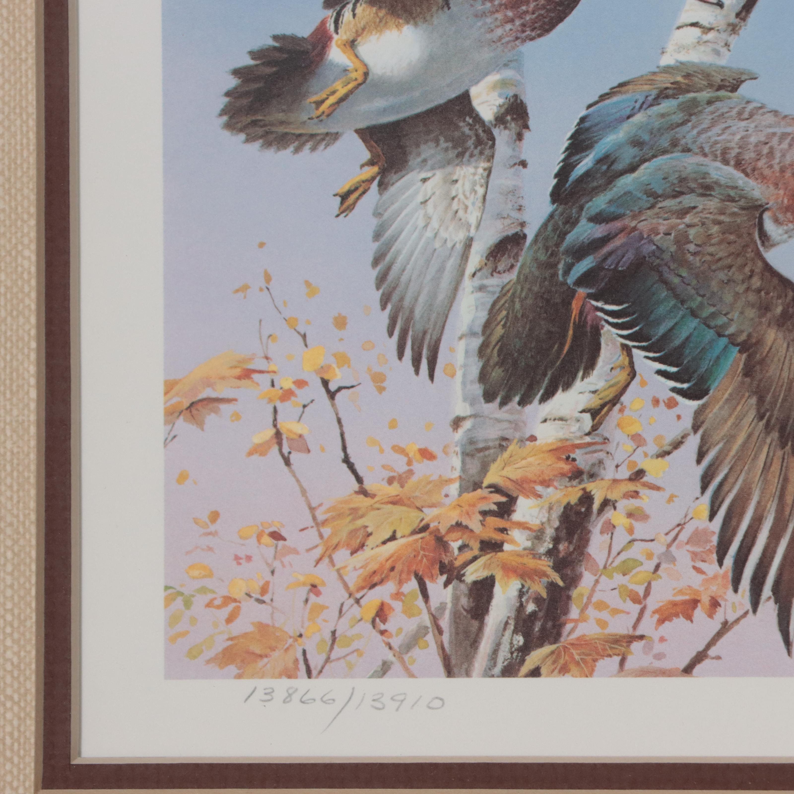 Waterfowl Themed Offset Lithographs and Postage Stamps