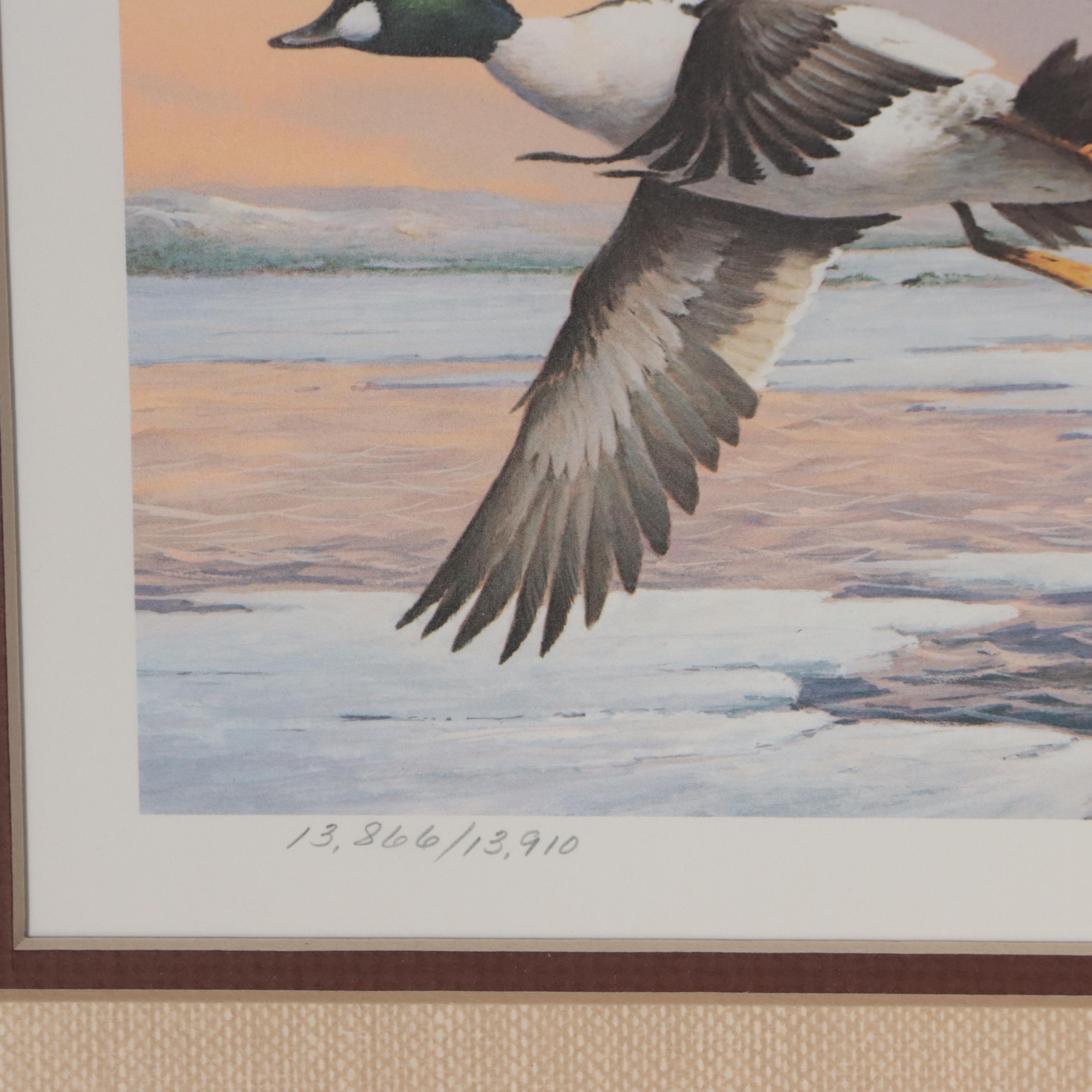 Waterfowl Themed Offset Lithographs and Postage Stamps