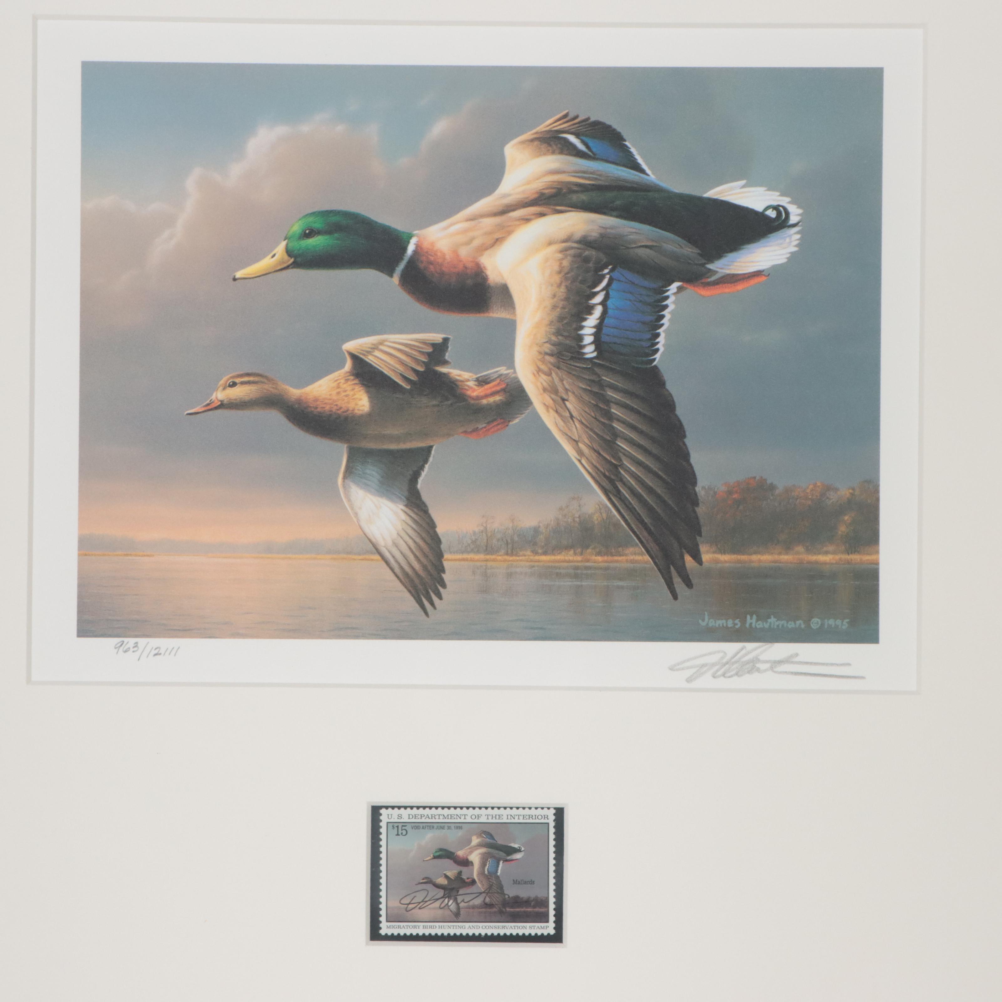 Waterfowl Themed Offset Lithographs and Postage Stamps