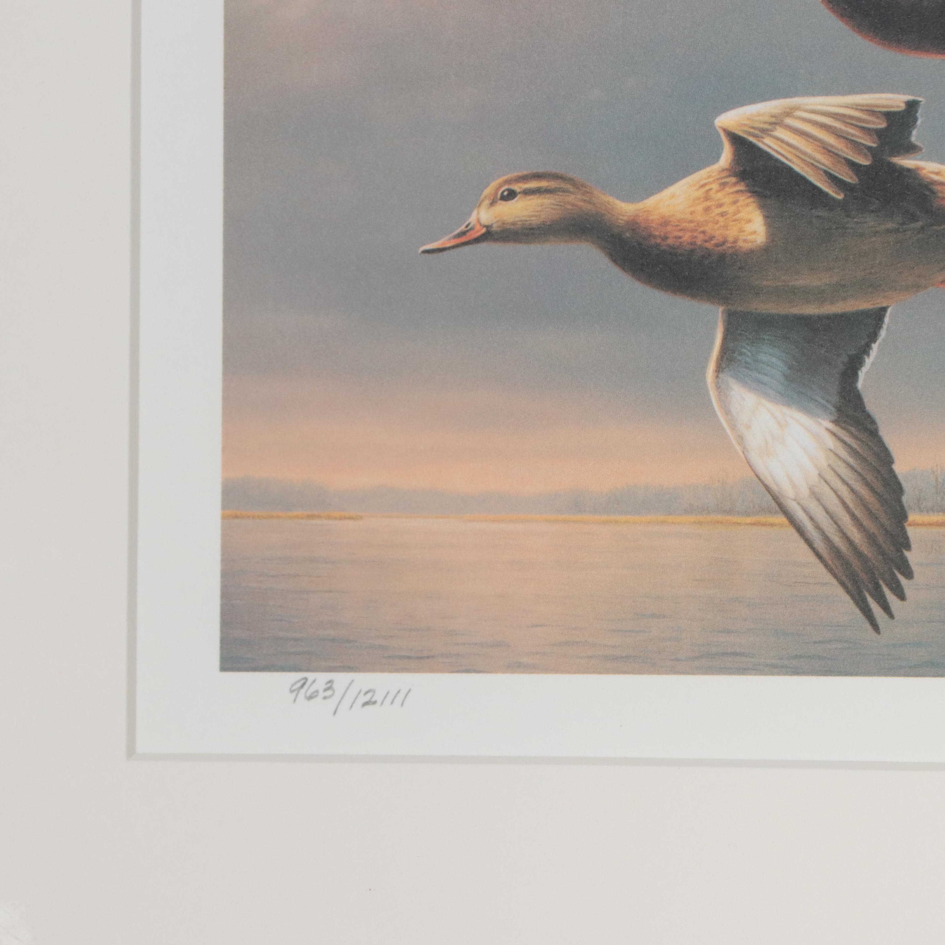 Waterfowl Themed Offset Lithographs and Postage Stamps