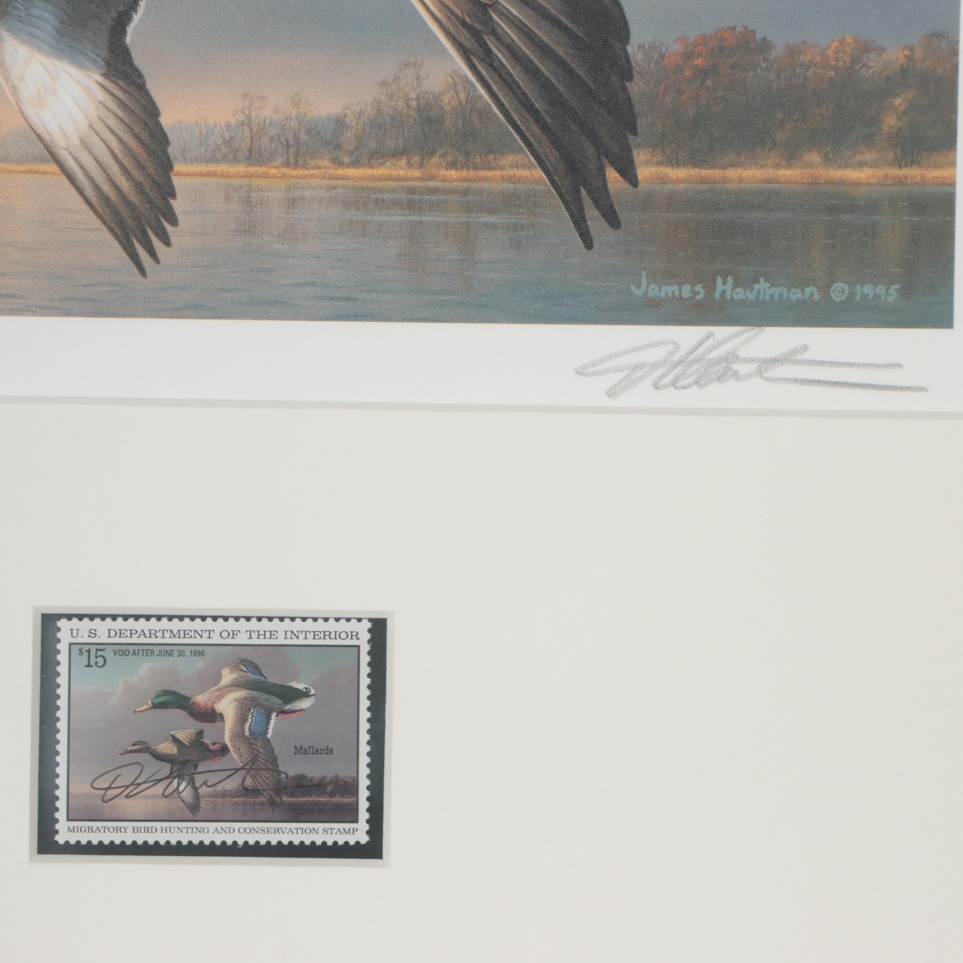Waterfowl Themed Offset Lithographs and Postage Stamps