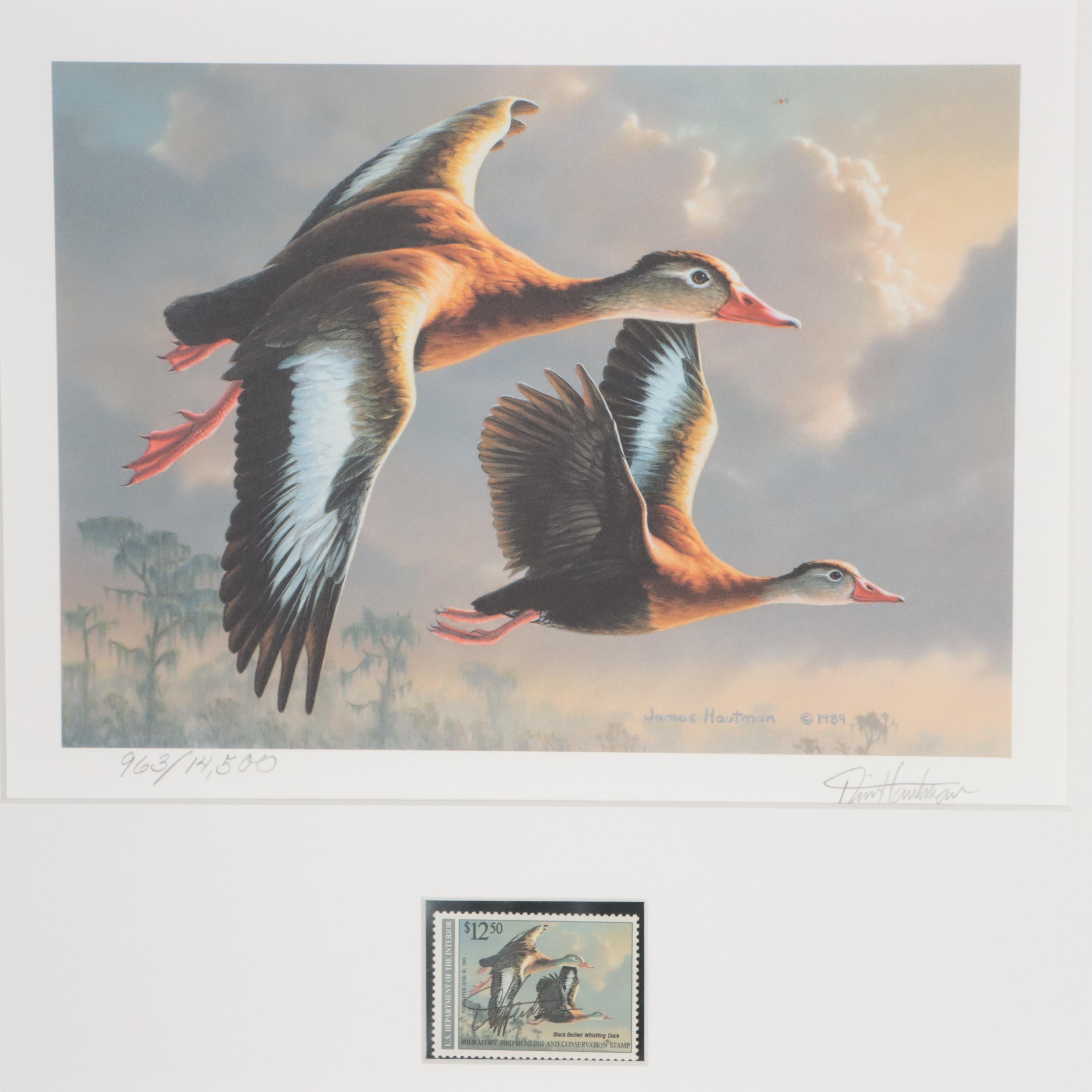 Waterfowl Themed Offset Lithographs and Postage Stamps