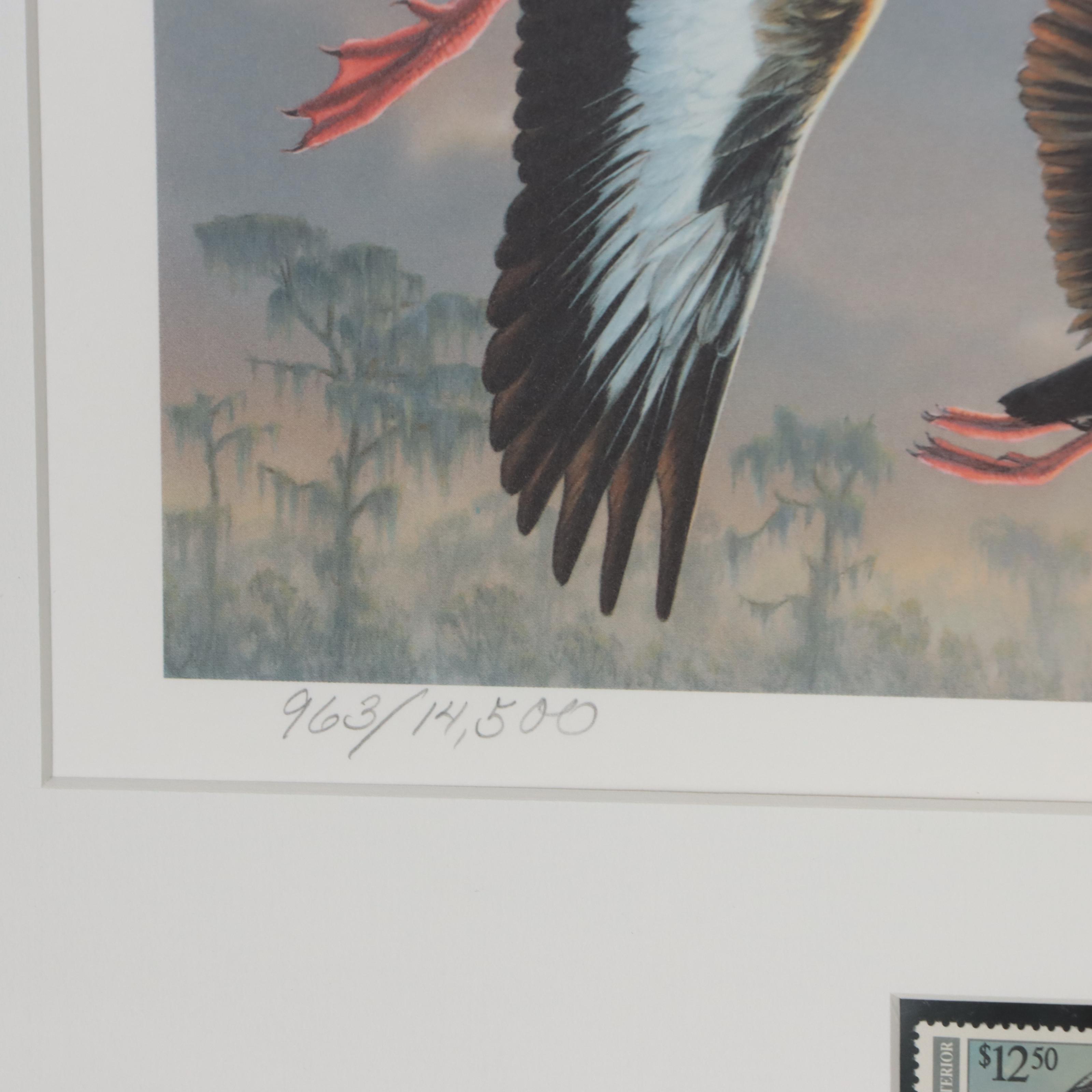Waterfowl Themed Offset Lithographs and Postage Stamps