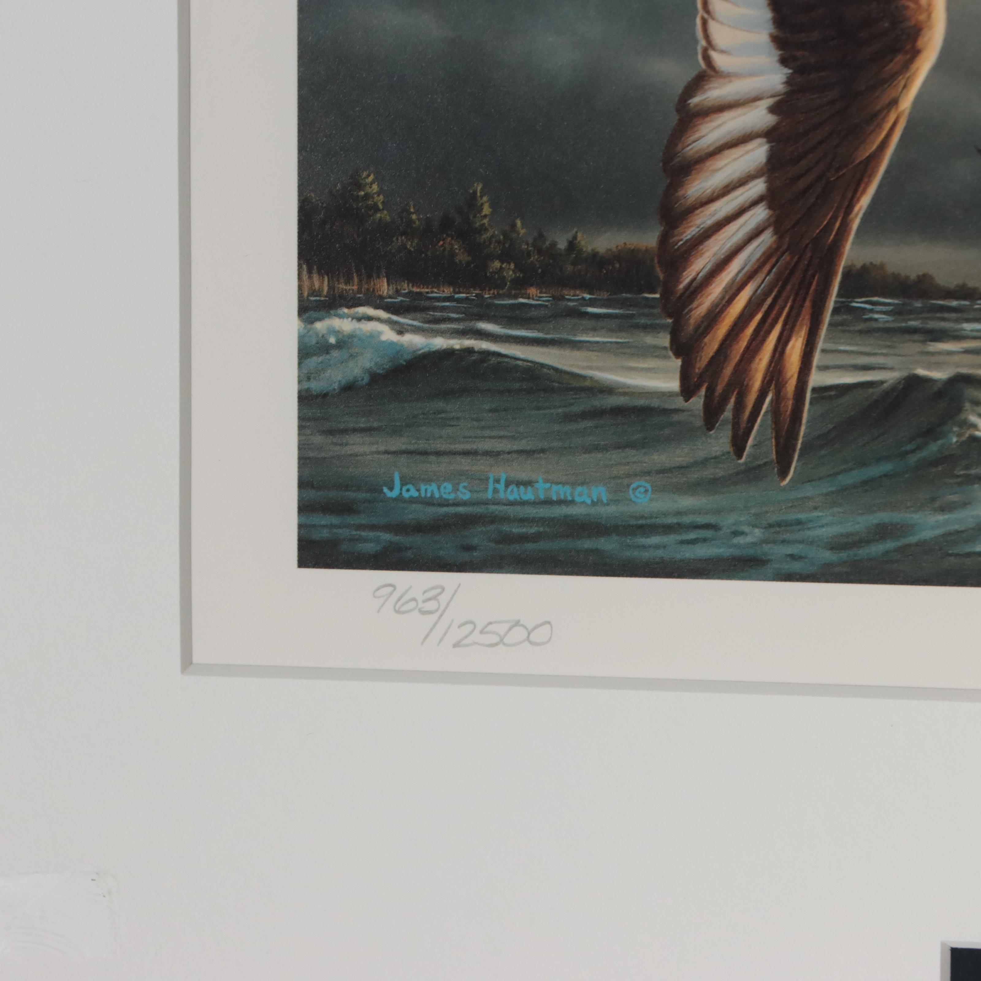 Waterfowl Themed Offset Lithographs and Postage Stamps