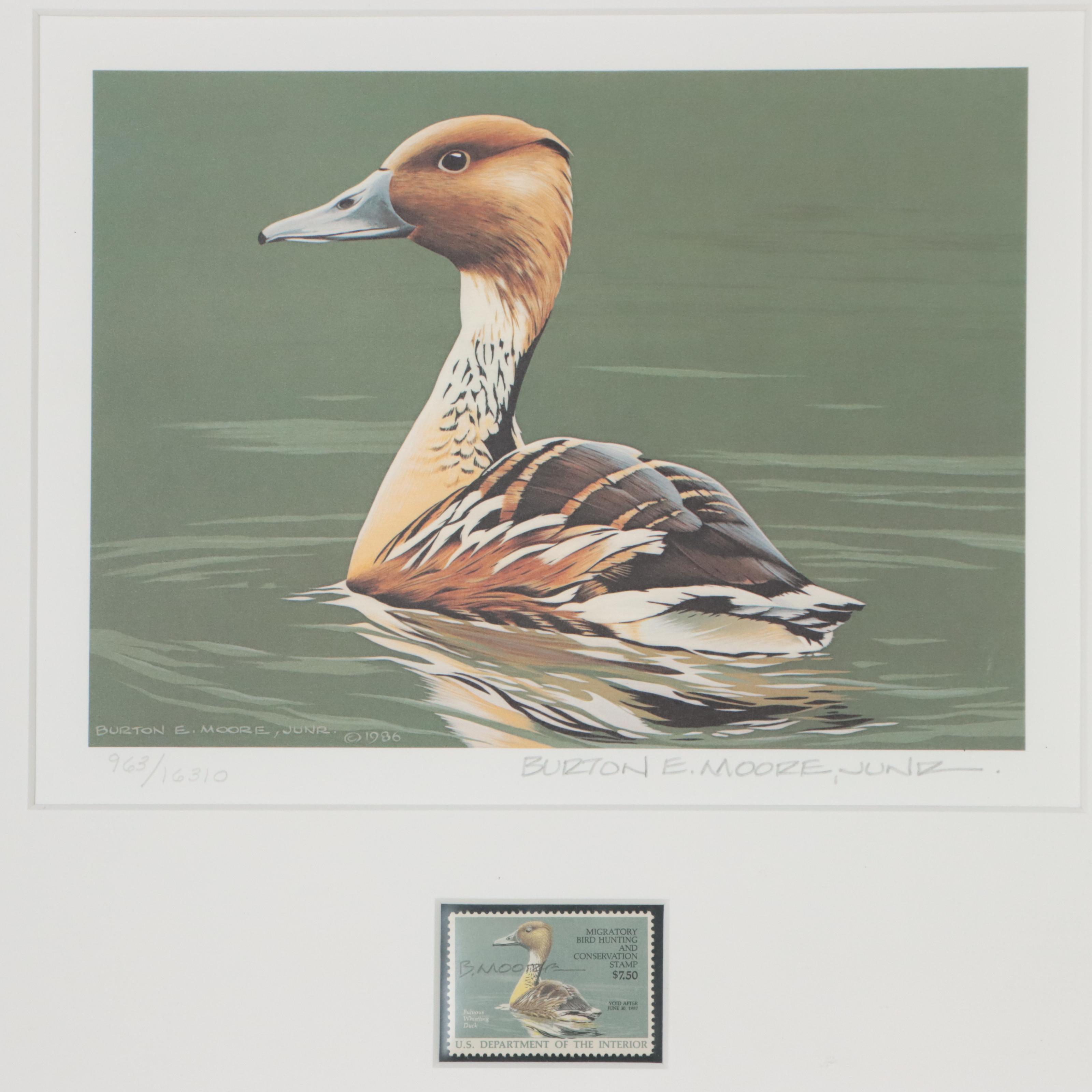 Waterfowl Themed Offset Lithographs and Postage Stamps