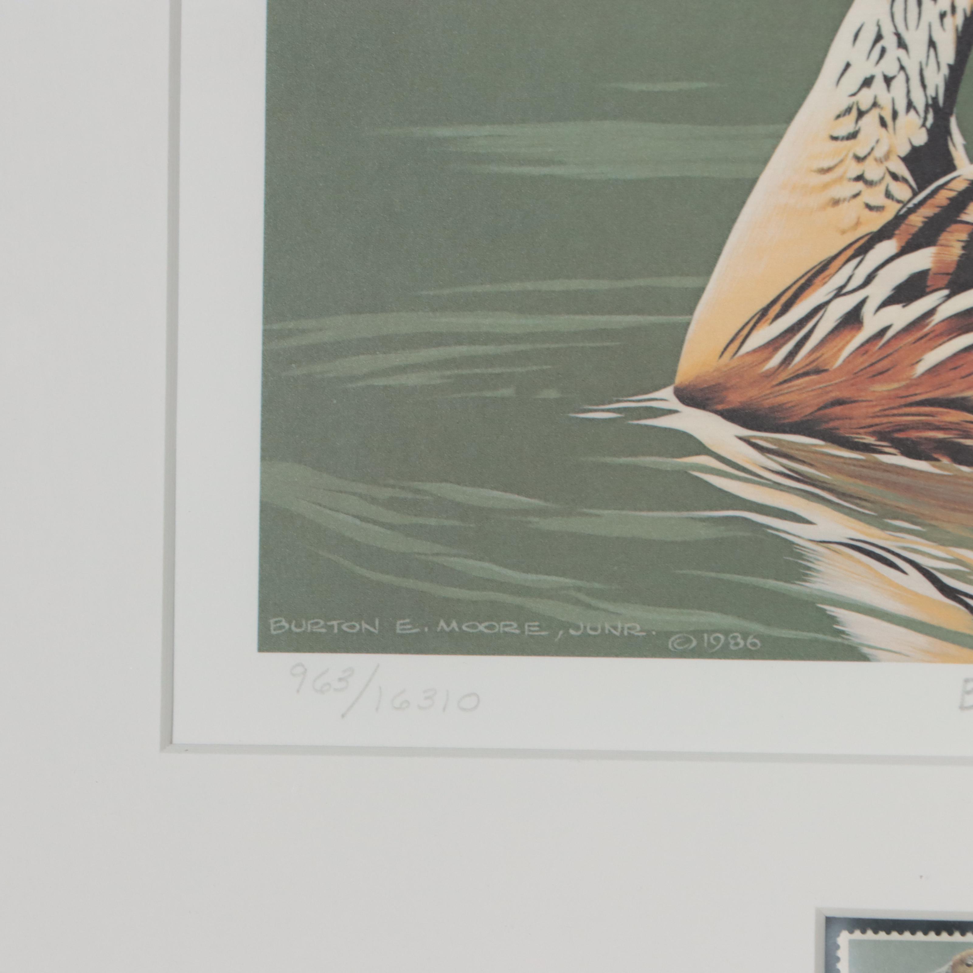 Waterfowl Themed Offset Lithographs and Postage Stamps