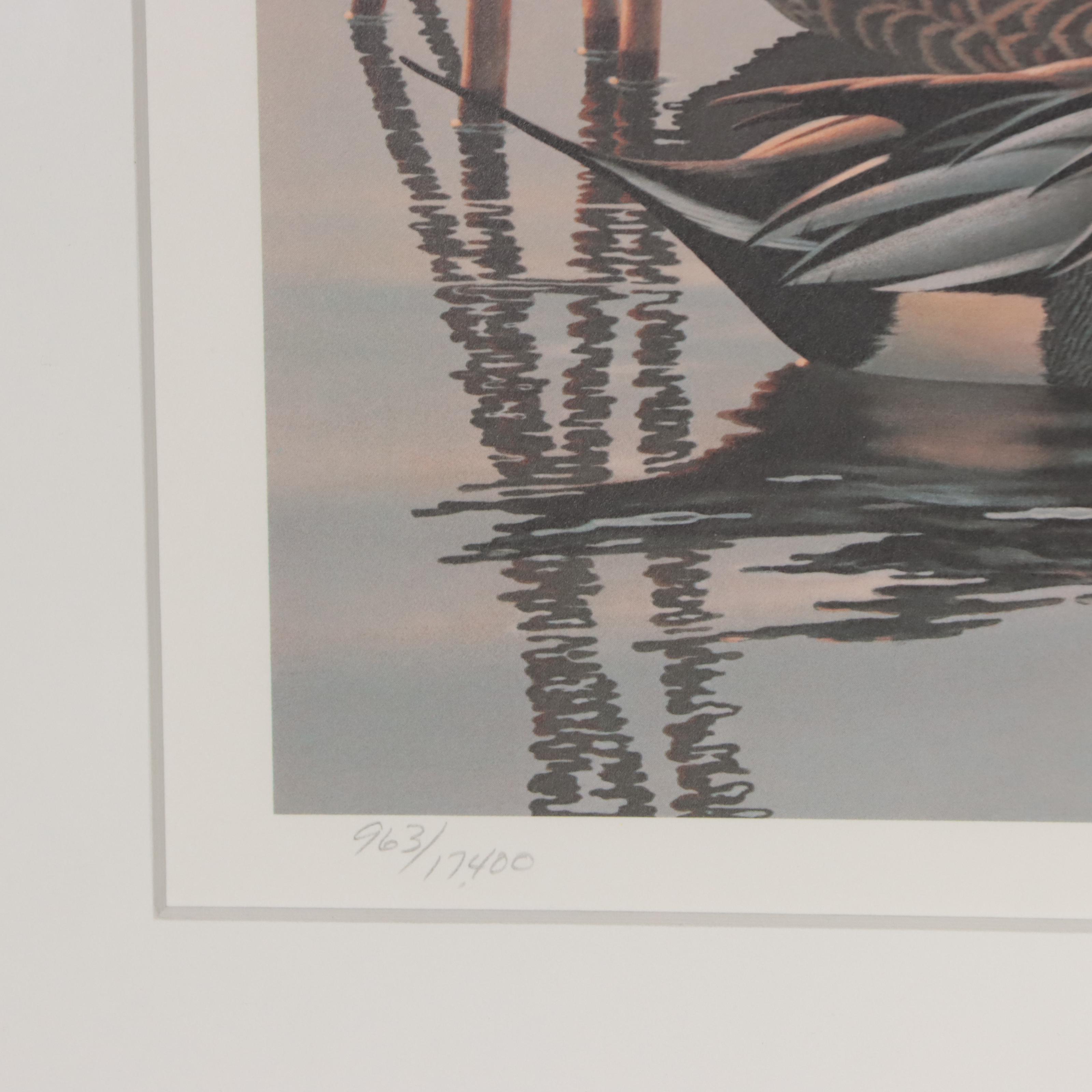 Waterfowl Themed Offset Lithographs and Postage Stamps