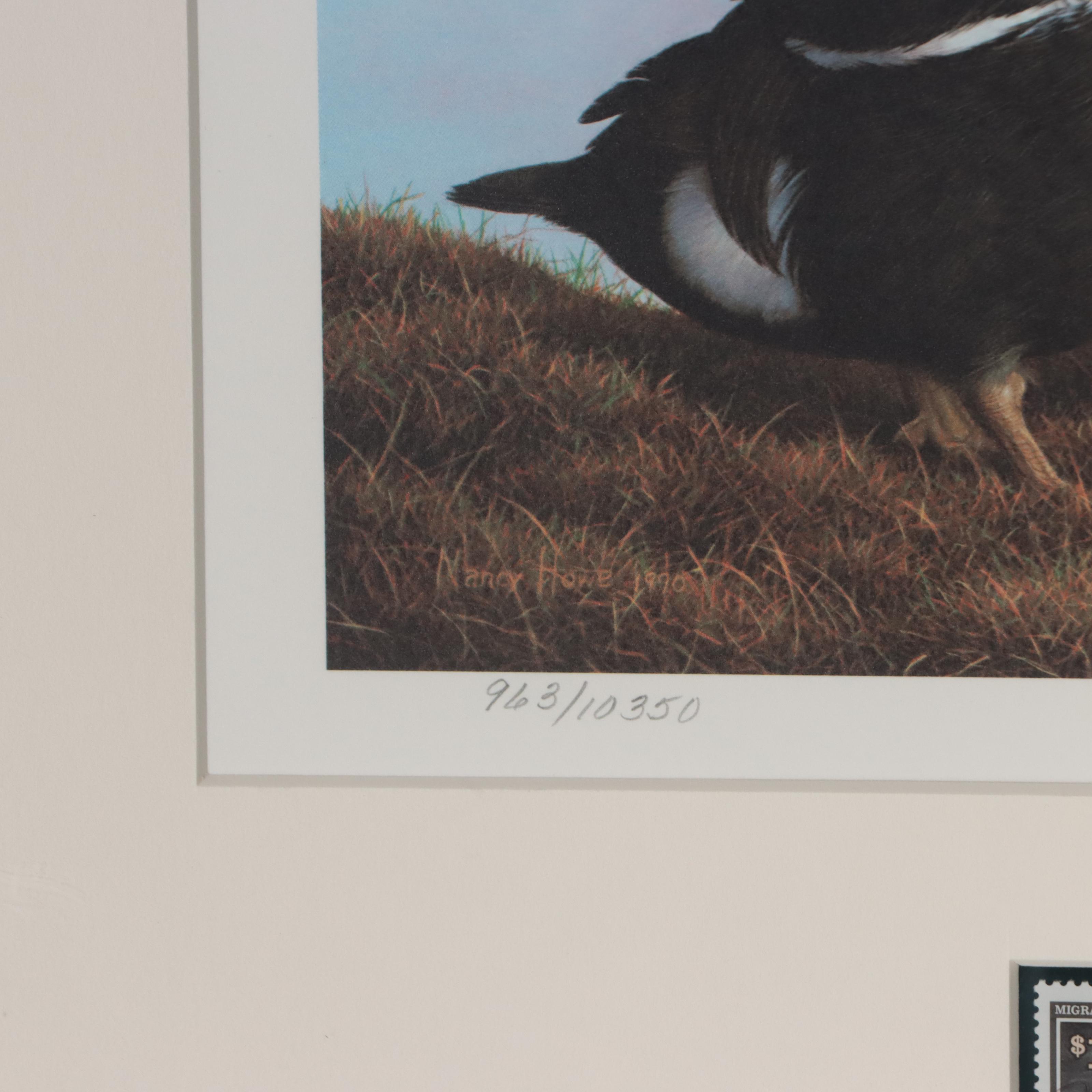 Waterfowl Themed Offset Lithographs and Postage Stamps