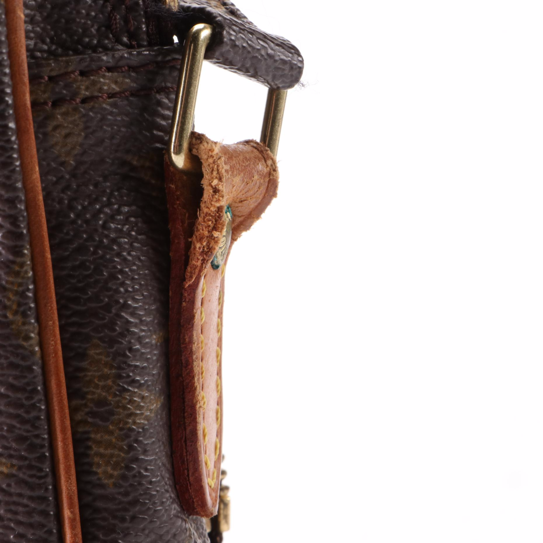 Louis Vuitton Amazone Crossbody Bag in Monogram Canvas and Vachetta Leather