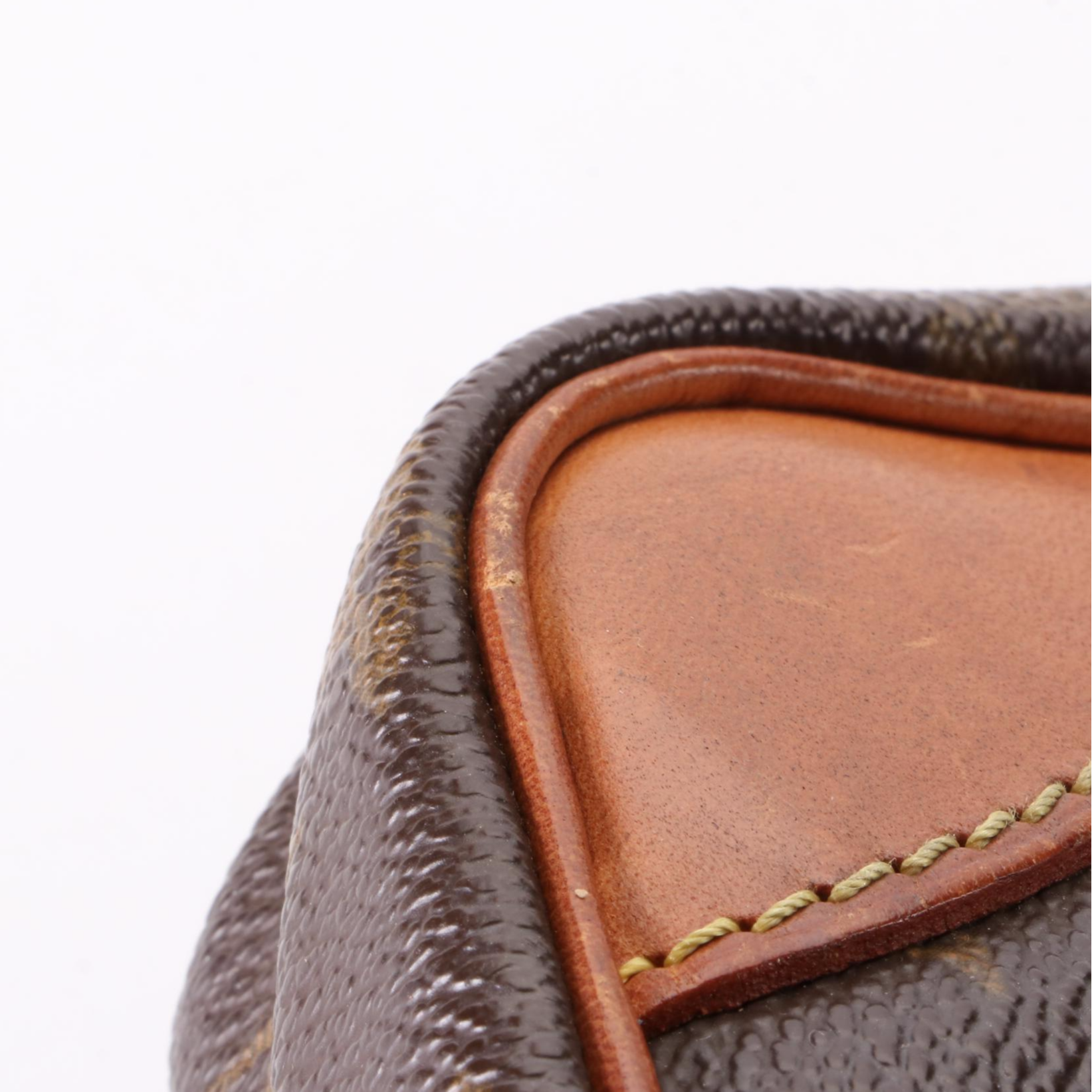 Louis Vuitton Amazone Crossbody Bag in Monogram Canvas and Vachetta Leather