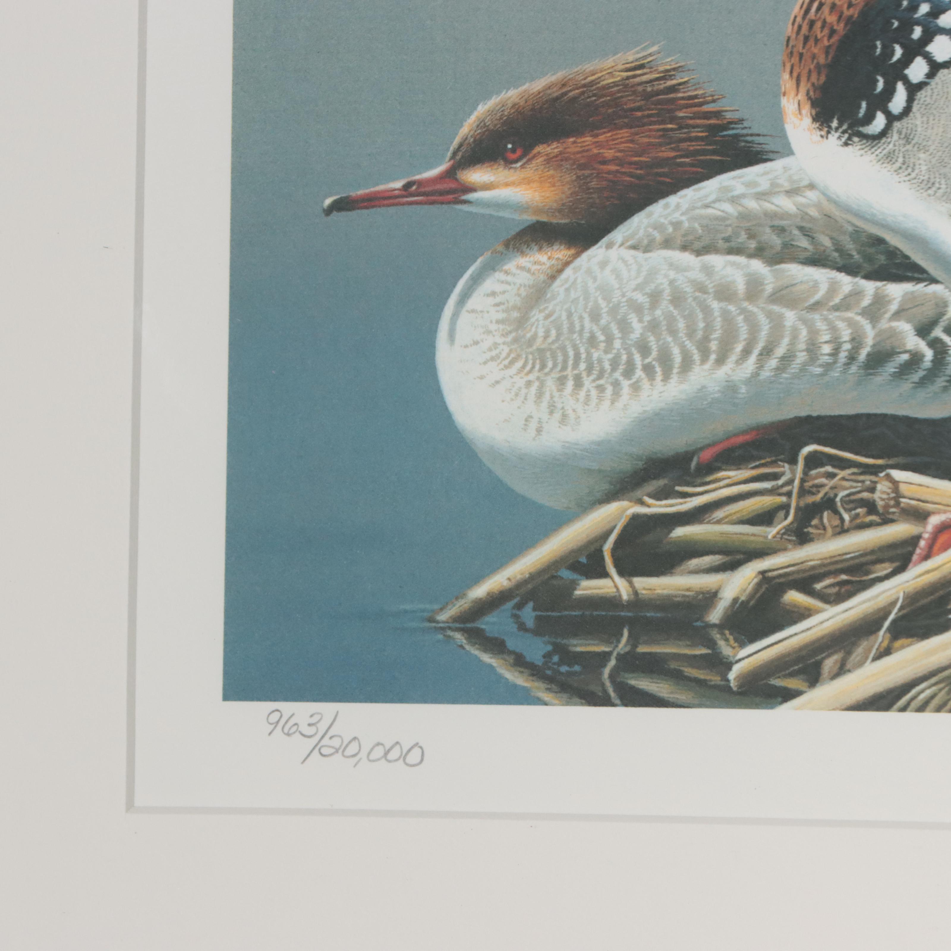 Waterfowl Themed Offset Lithographs and Postage Stamps