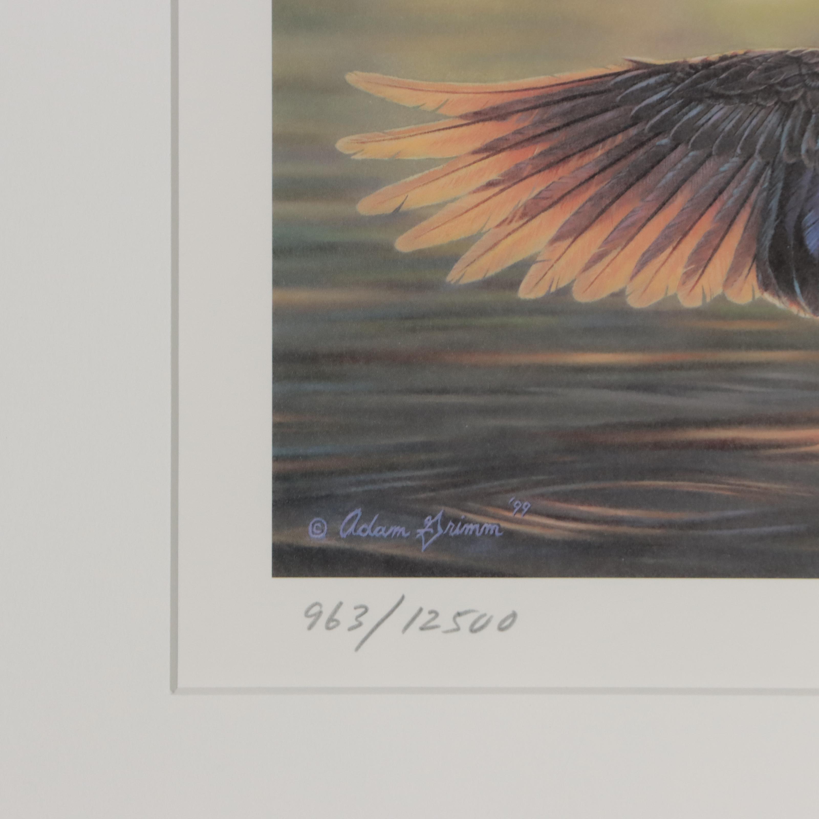 Waterfowl Themed Offset Lithographs and Postage Stamps